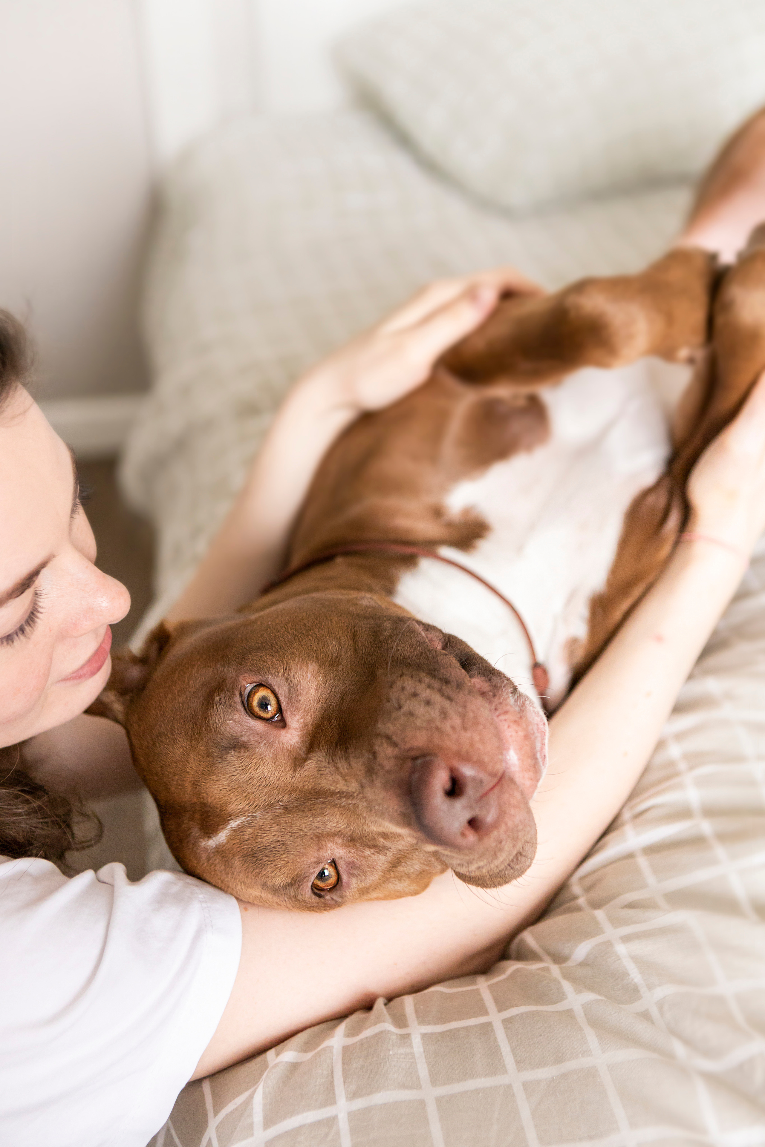 Трисс, Настя и Анюта. Фотограф — Анималист | Санкт-Петербург