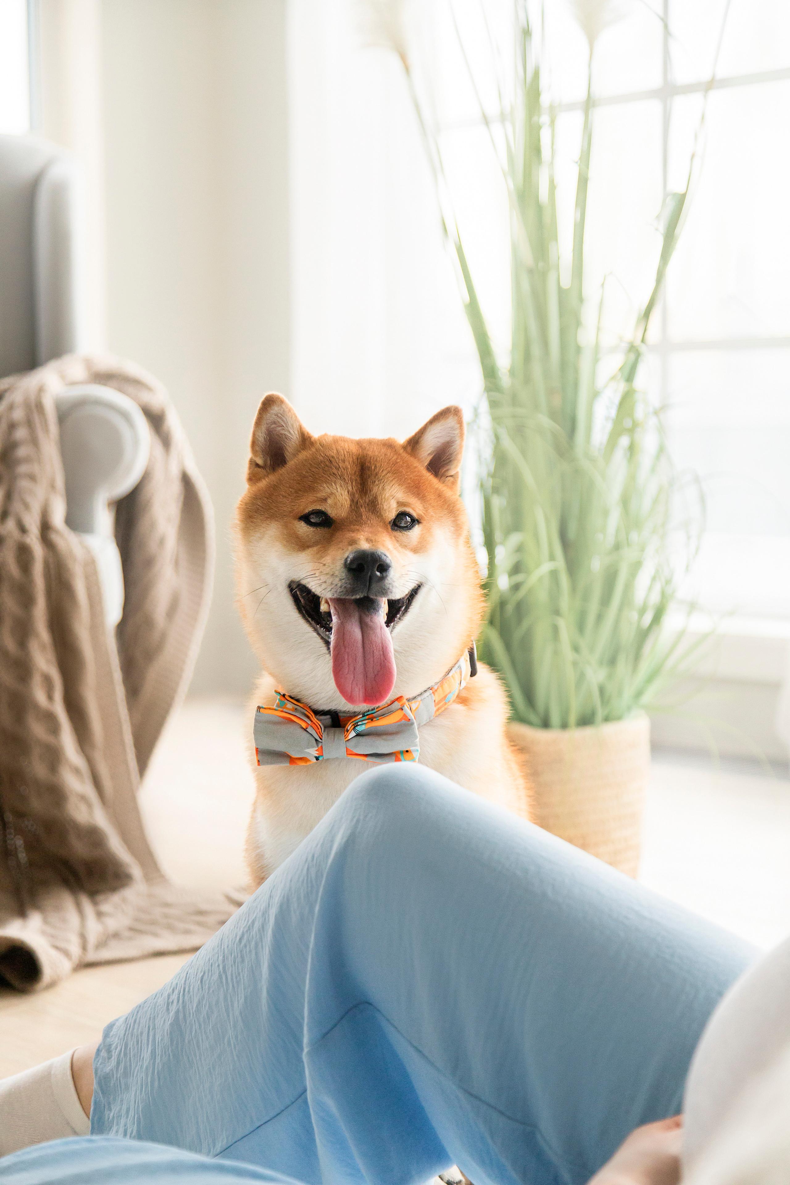 Валентина и Арчи. Фотограф — Анималист | Санкт-Петербург