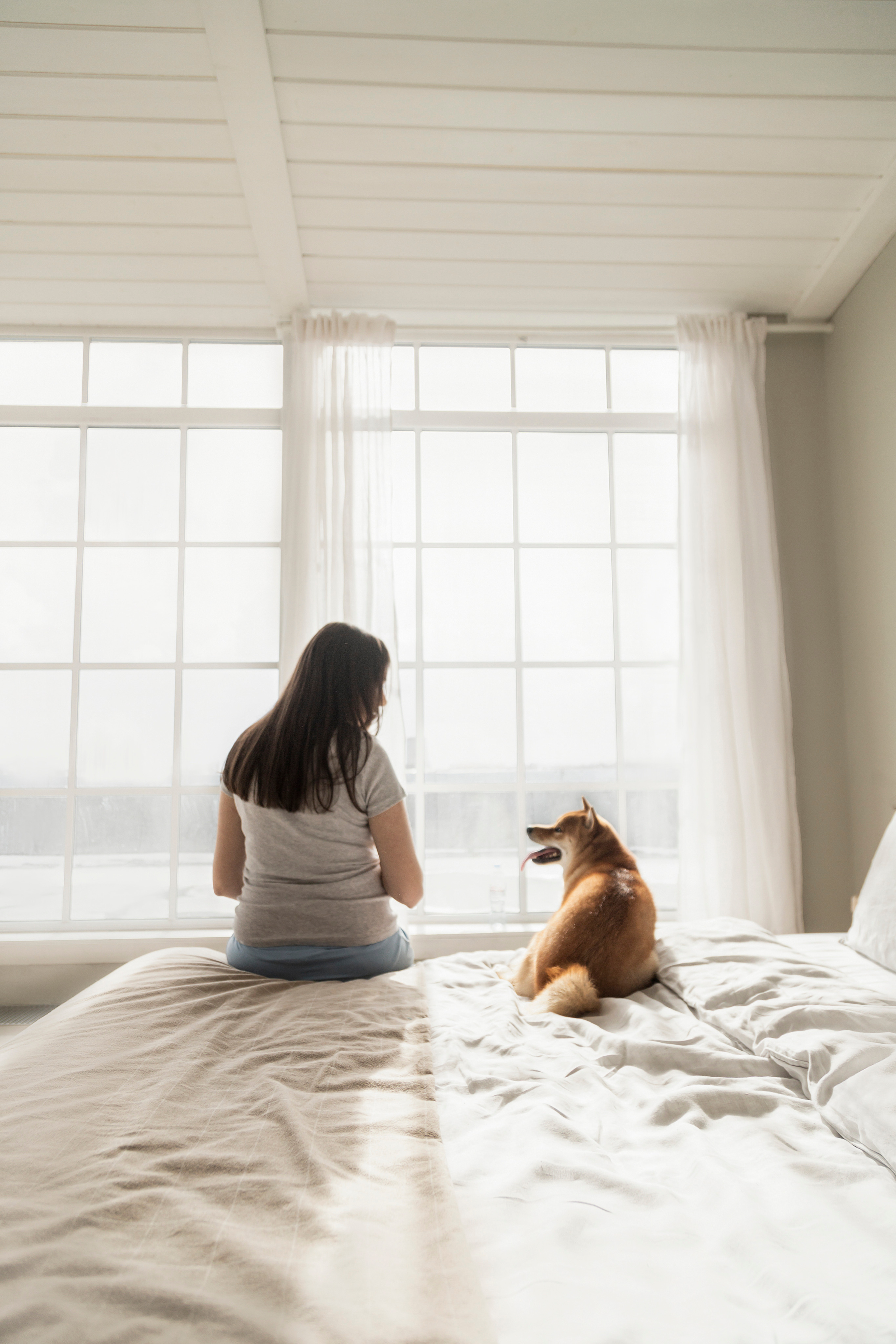 Валентина и Арчи. Фотограф — Анималист | Санкт-Петербург