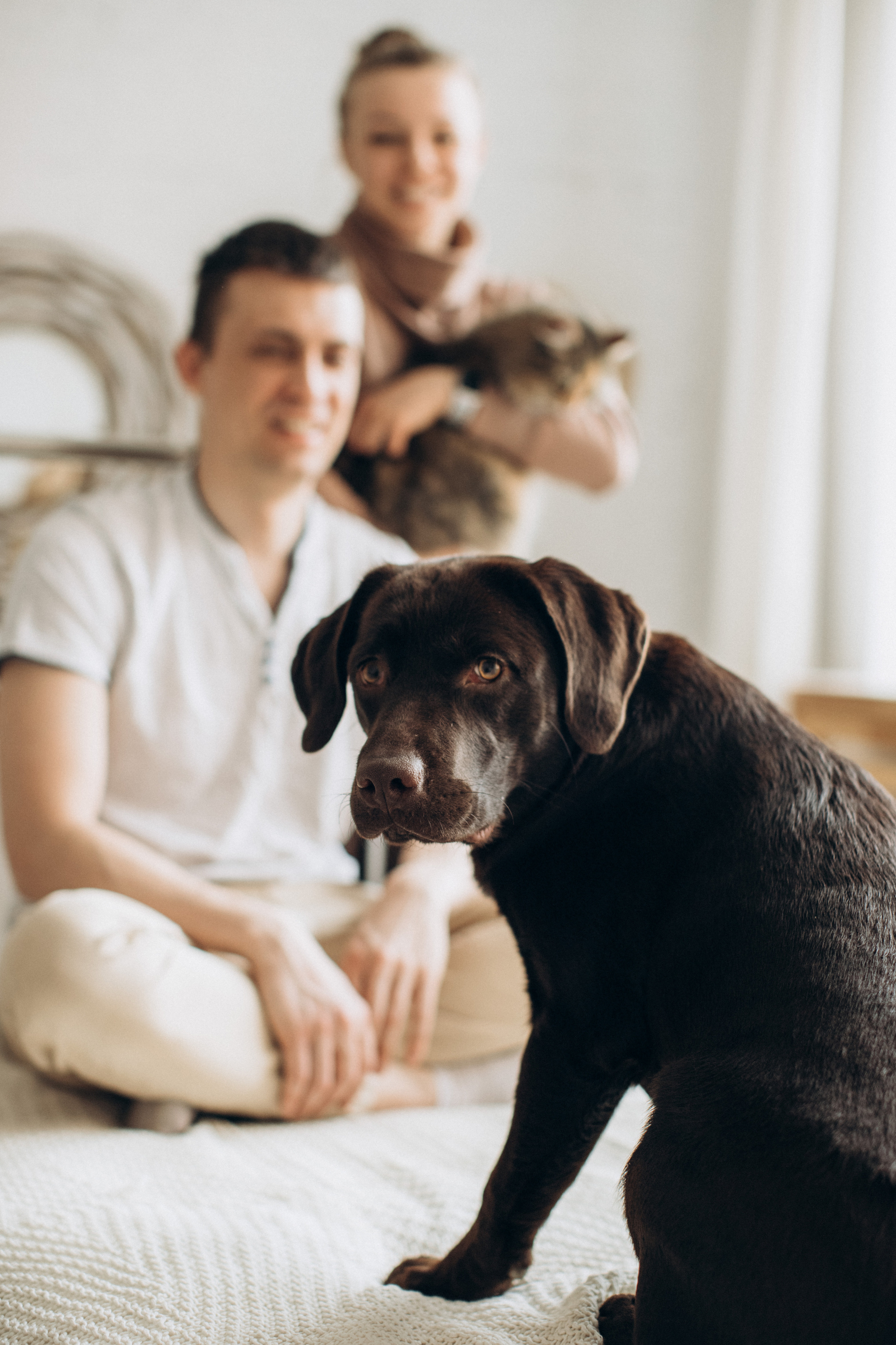 Куба и ее семья. Фотограф — Анималист | Санкт-Петербург