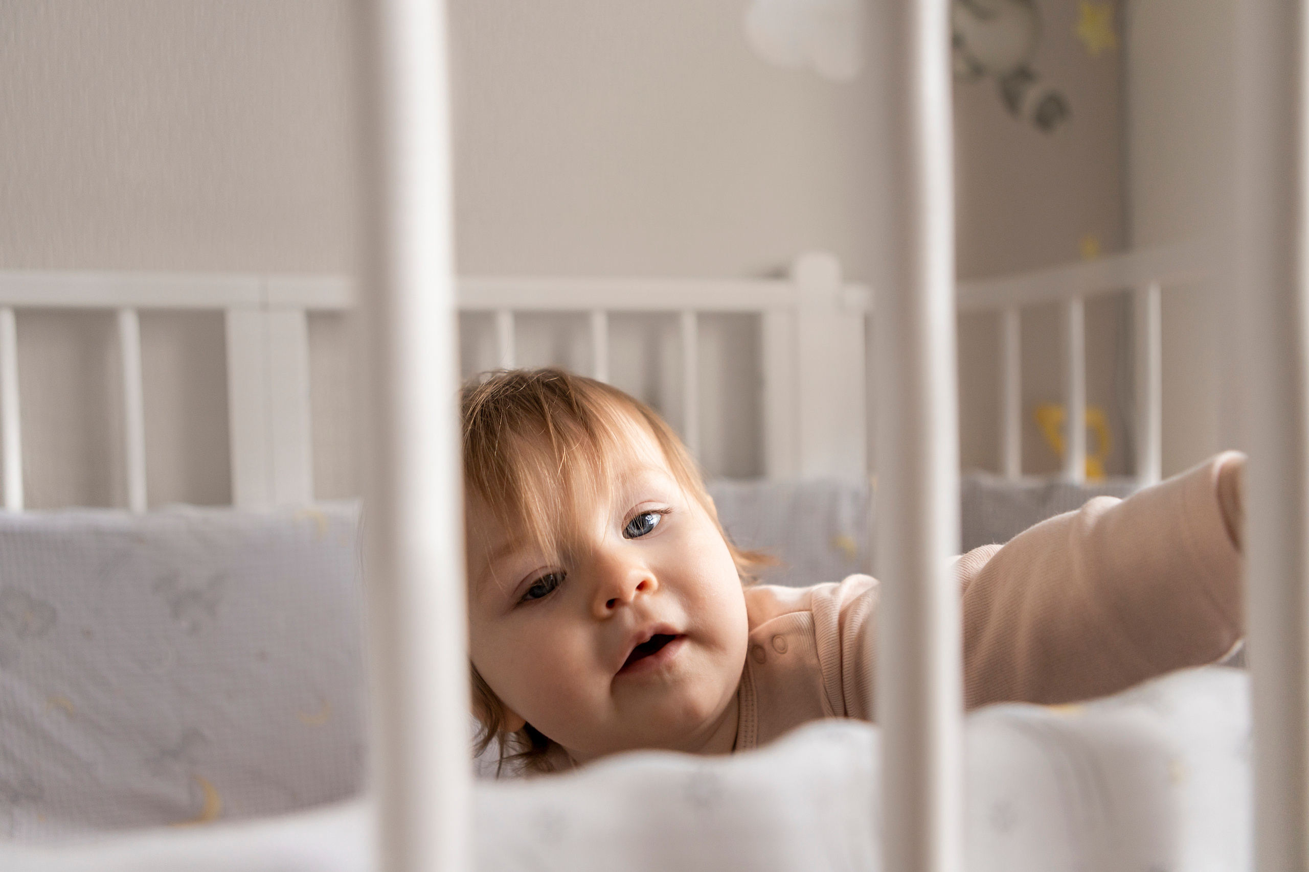 Трисс, Настя и Анюта. Фотограф — Анималист | Санкт-Петербург