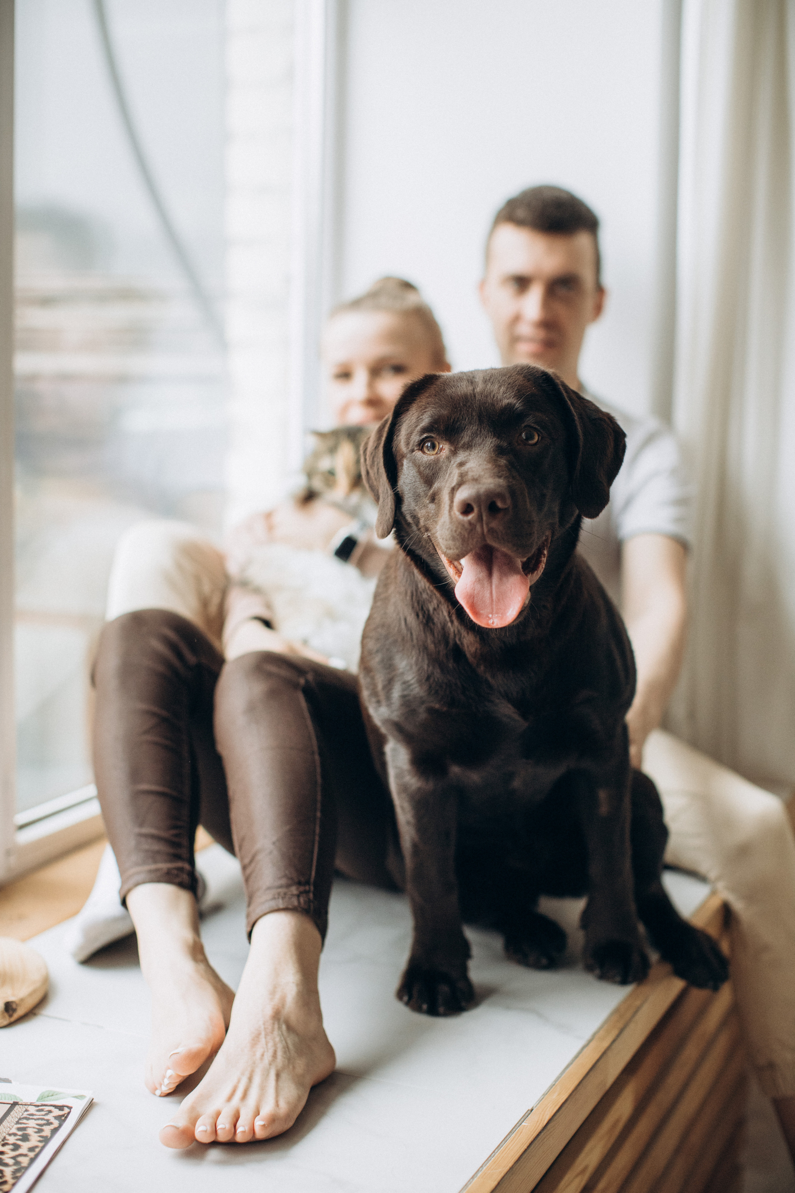 Куба и ее семья. Фотограф — Анималист | Санкт-Петербург