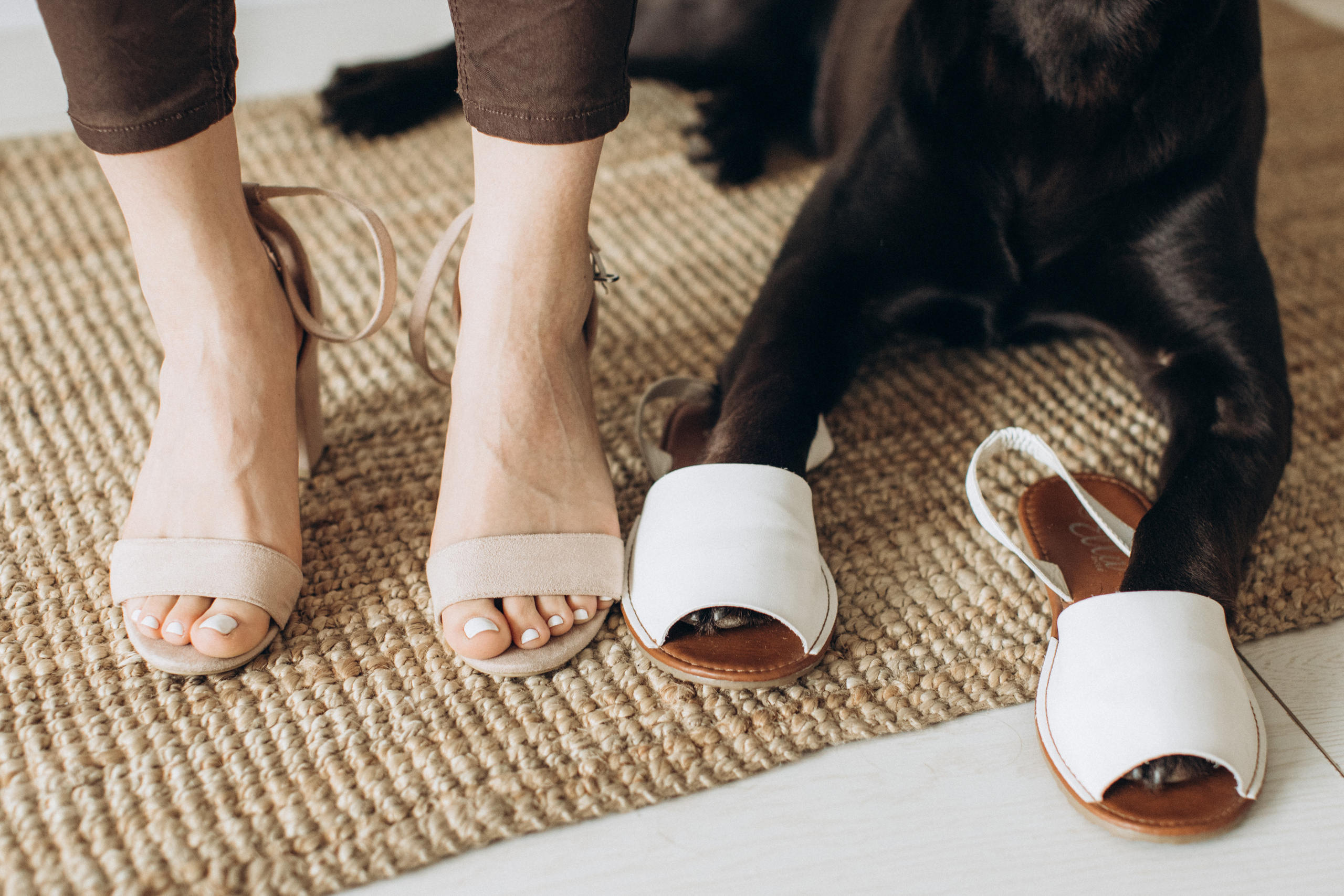 Куба и ее семья. Фотограф — Анималист | Санкт-Петербург