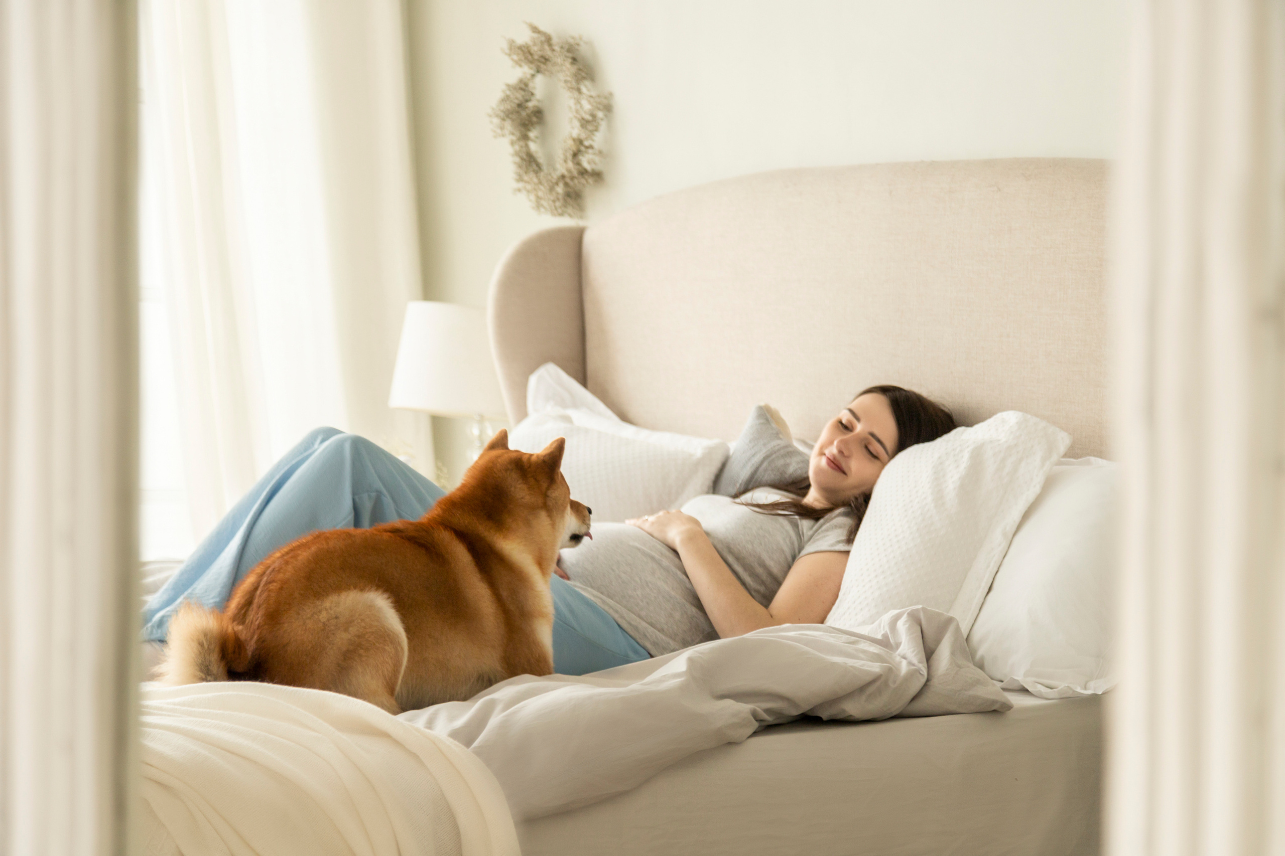 Валентина и Арчи. Фотограф — Анималист | Санкт-Петербург