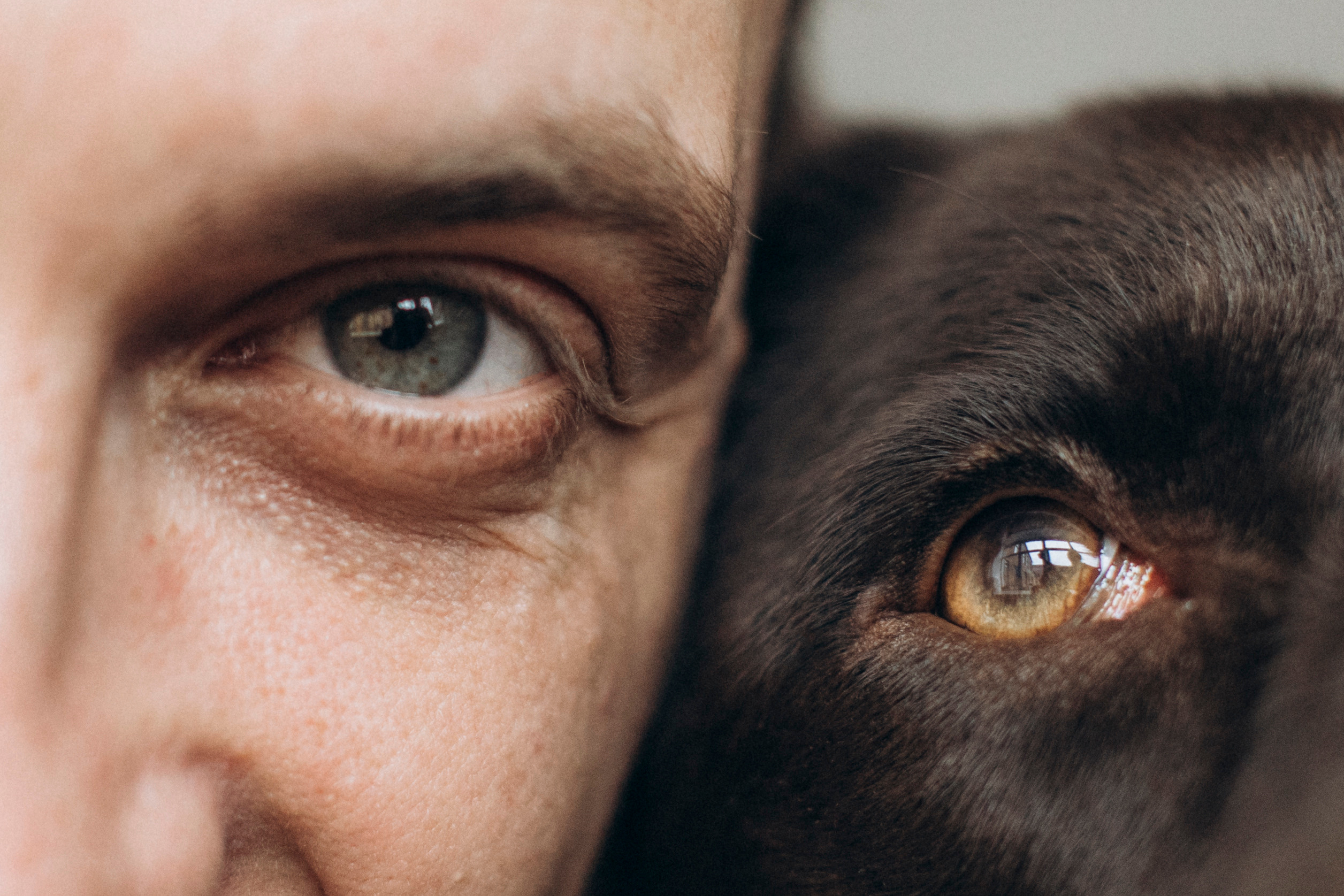 Куба и ее семья. Фотограф — Анималист | Санкт-Петербург