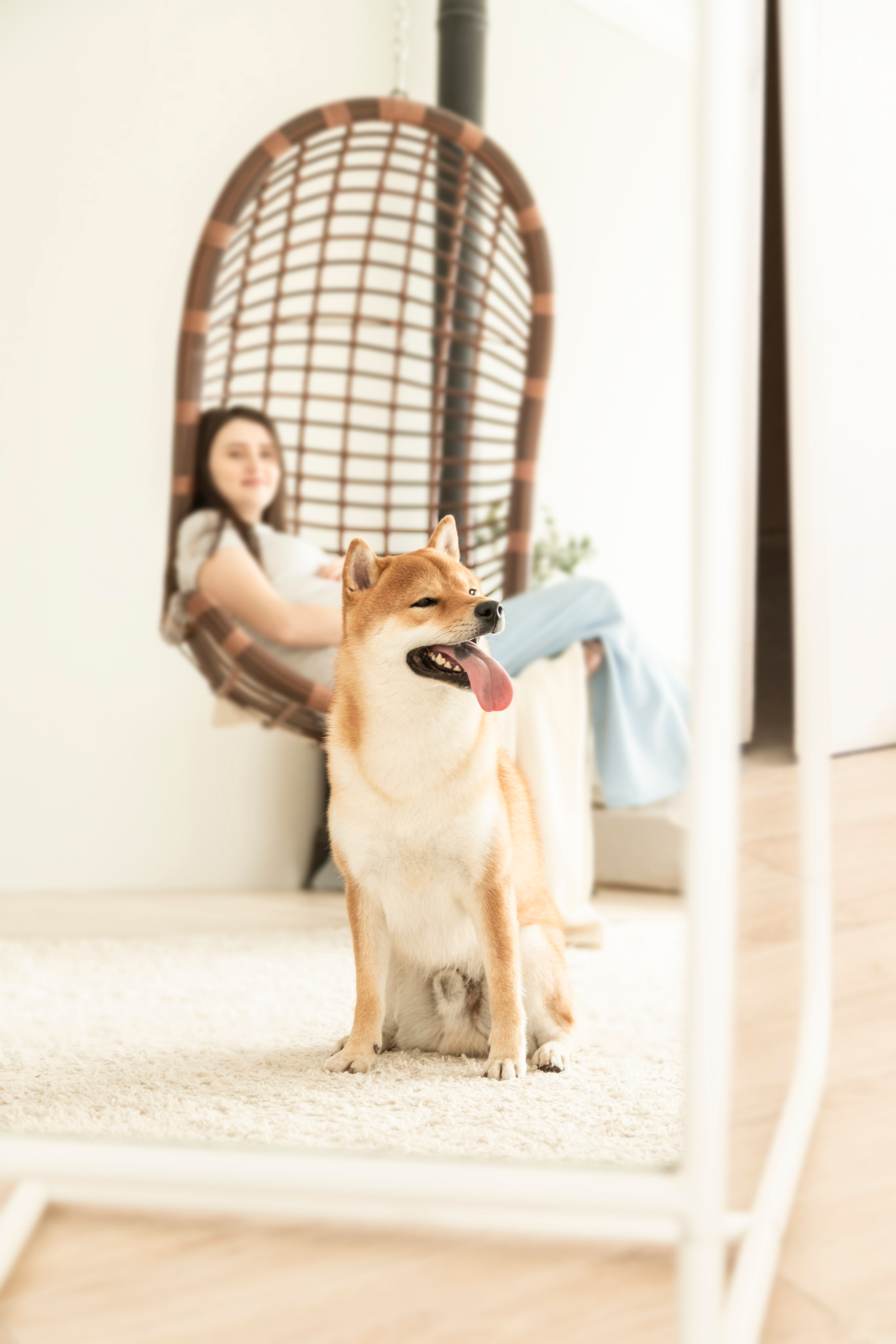 Валентина и Арчи. Фотограф — Анималист | Санкт-Петербург