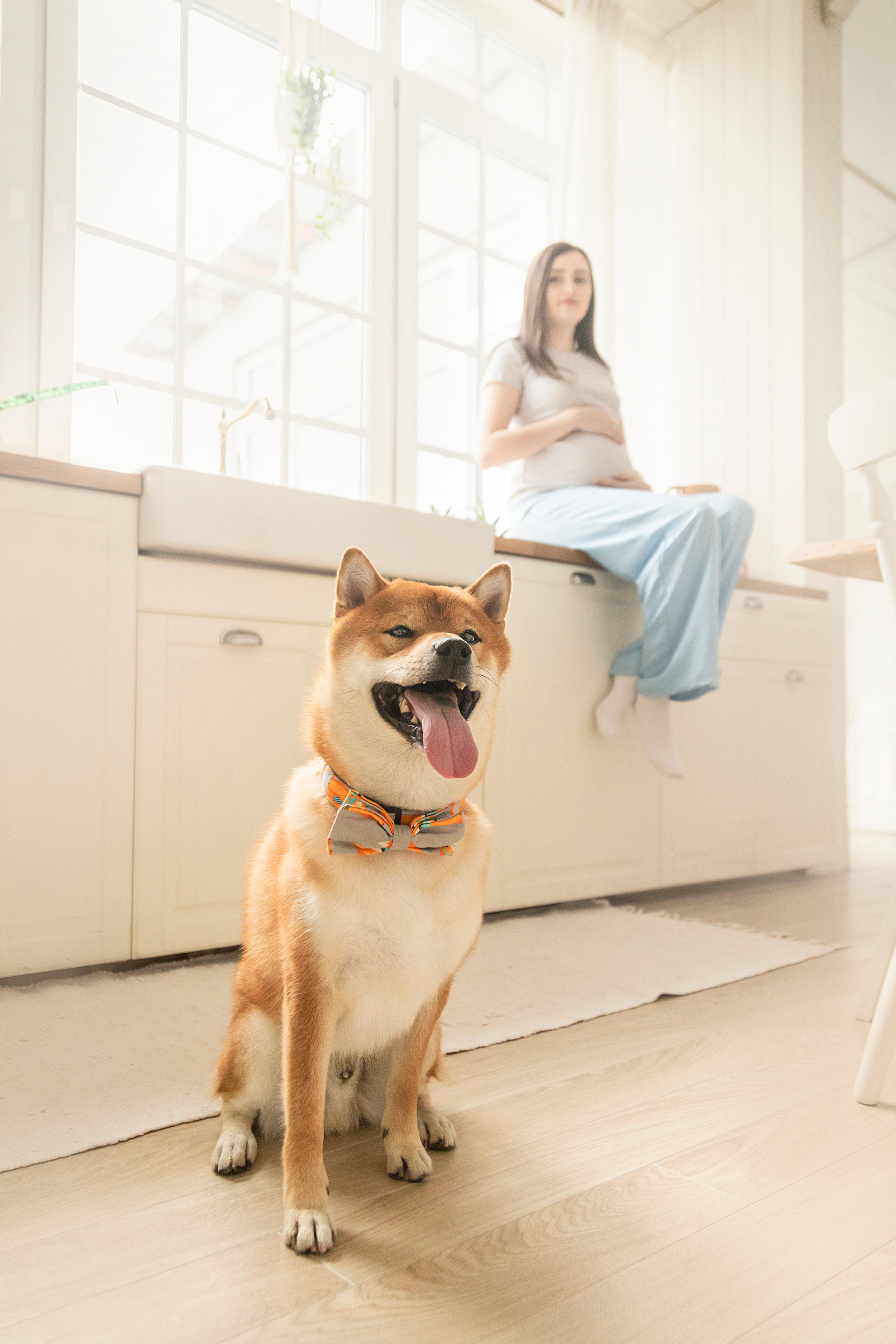 Валентина и Арчи. Фотограф — Анималист | Санкт-Петербург