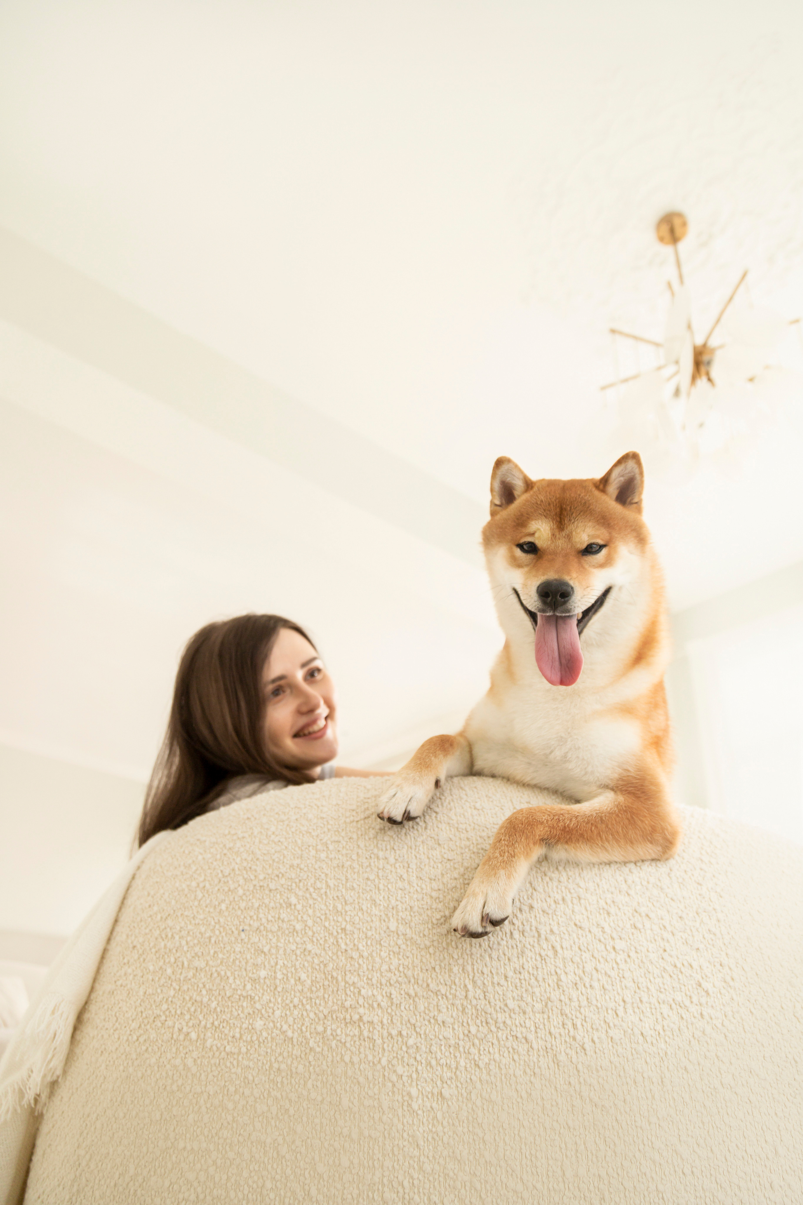 Валентина и Арчи. Фотограф — Анималист | Санкт-Петербург