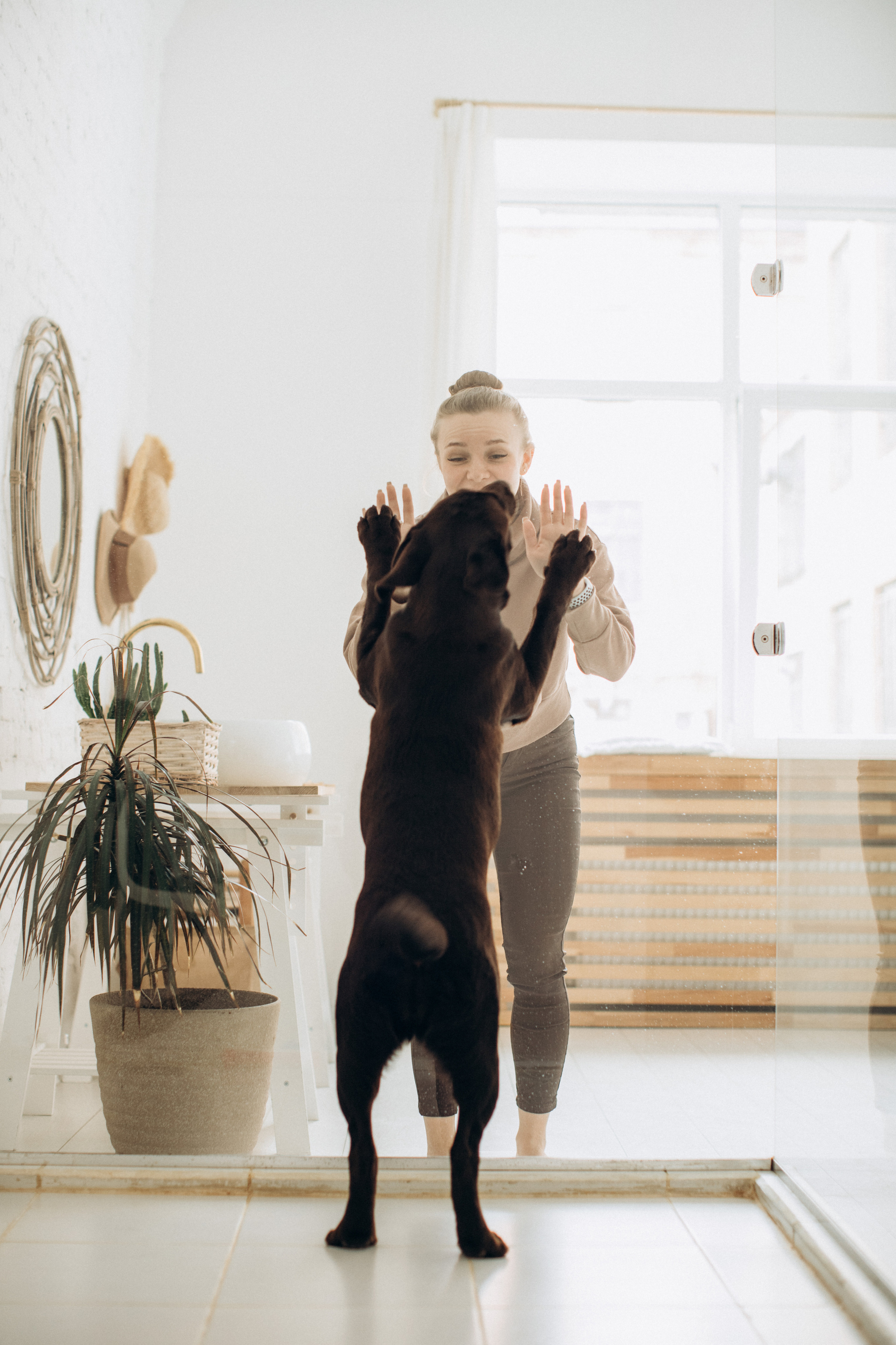 Куба и ее семья. Фотограф — Анималист | Санкт-Петербург