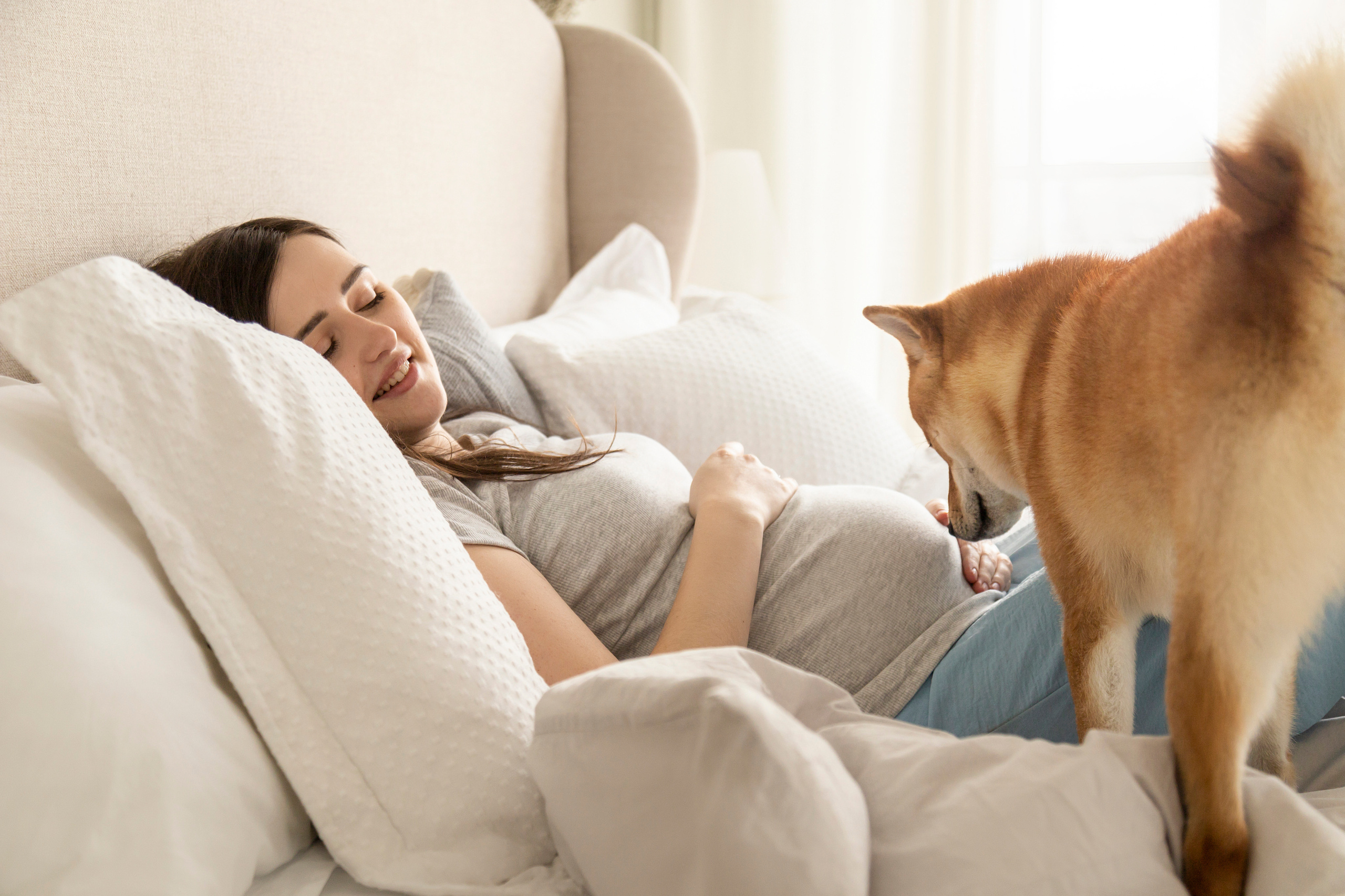 Валентина и Арчи. Фотограф — Анималист | Санкт-Петербург