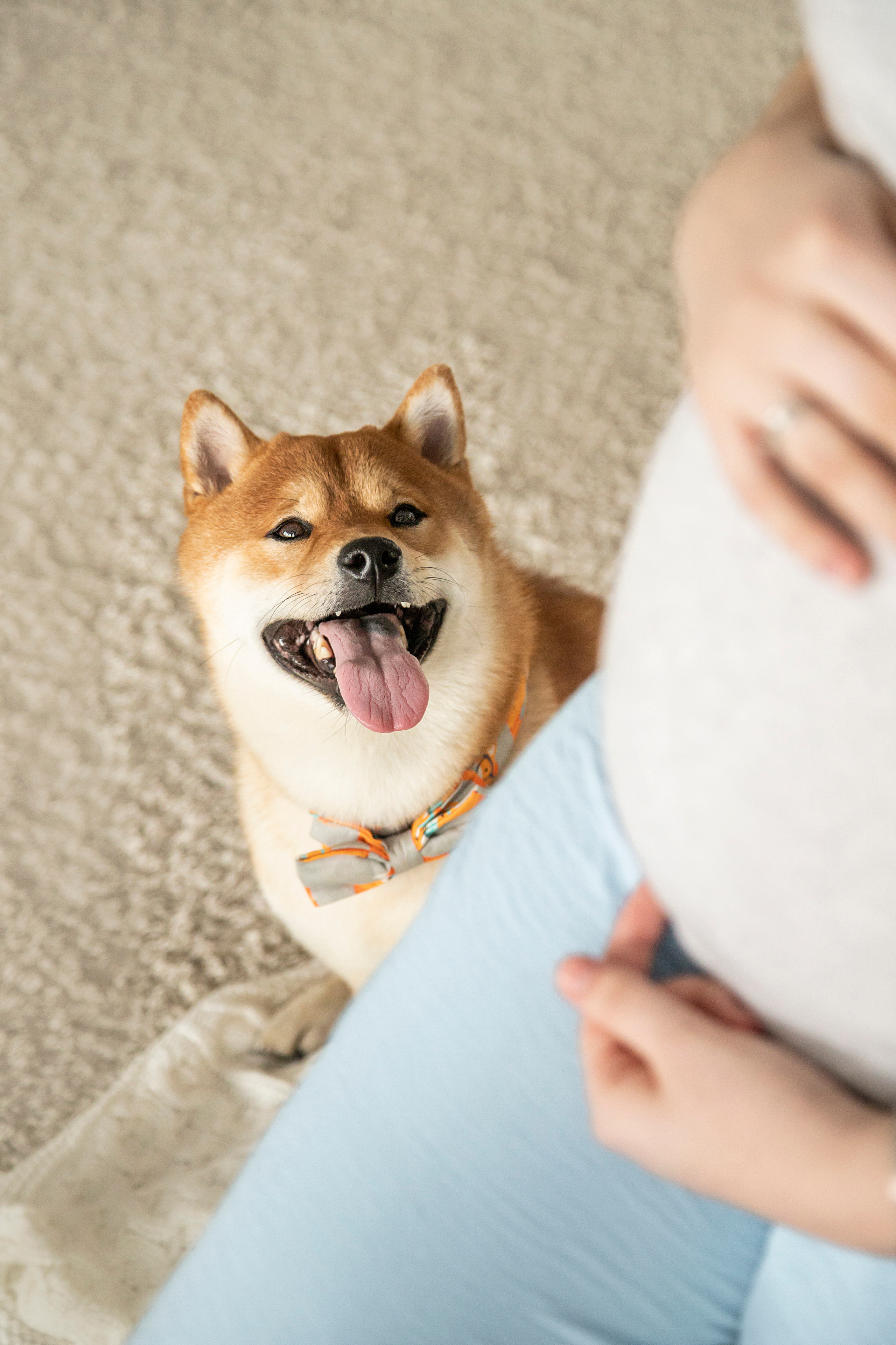 Валентина и Арчи. Фотограф — Анималист | Санкт-Петербург