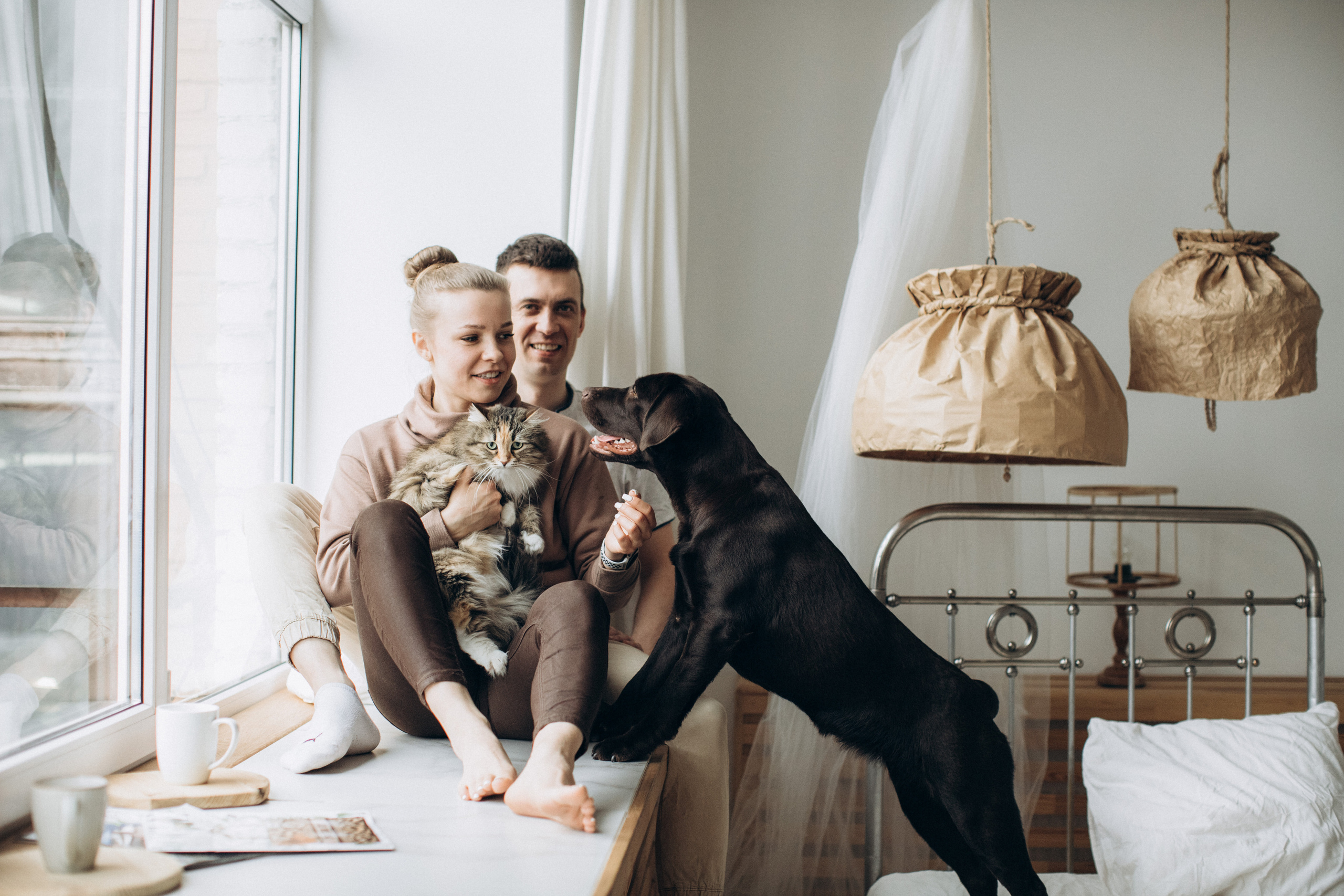 Куба и ее семья. Фотограф — Анималист | Санкт-Петербург