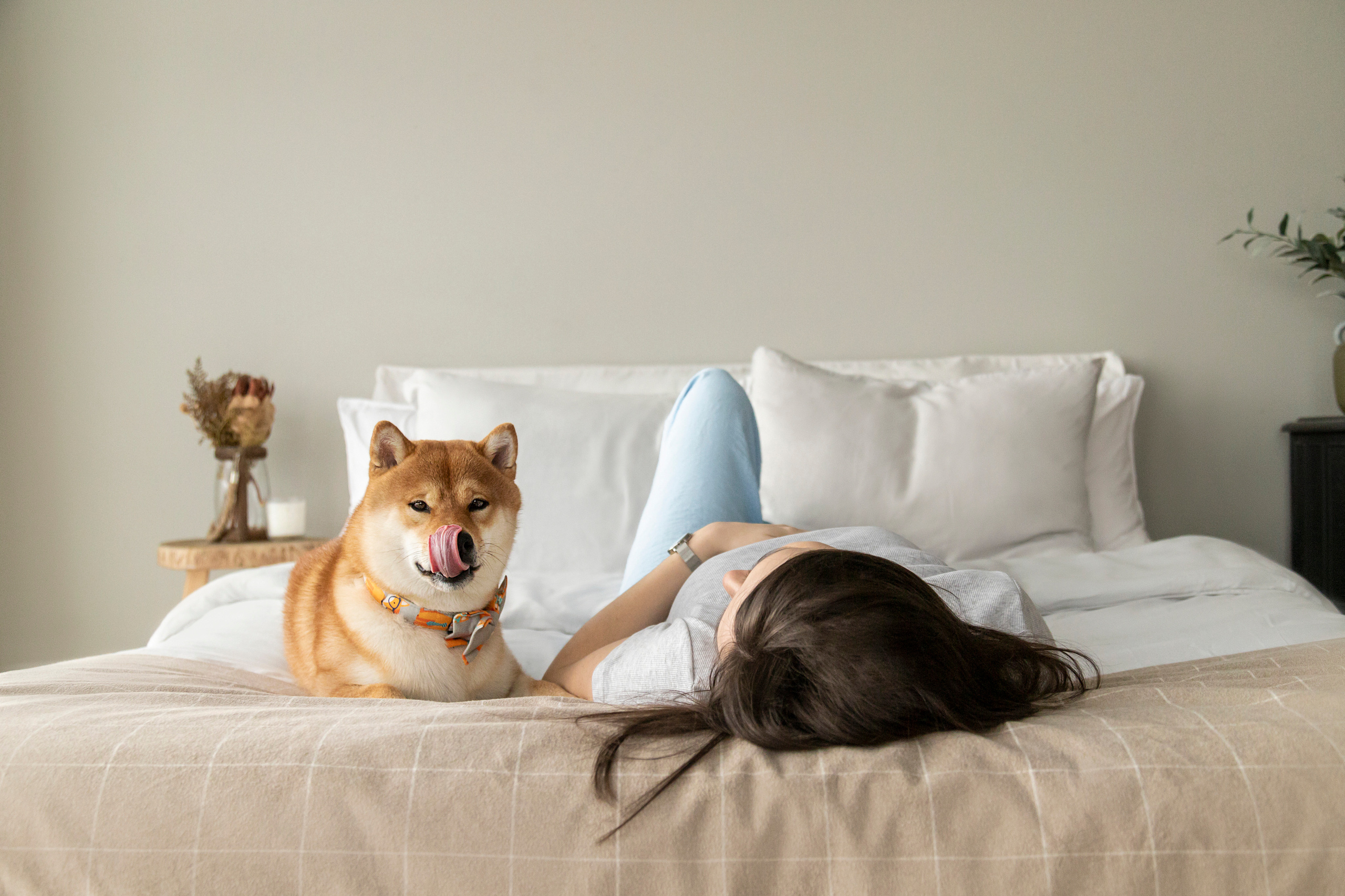 Валентина и Арчи. Фотограф — Анималист | Санкт-Петербург