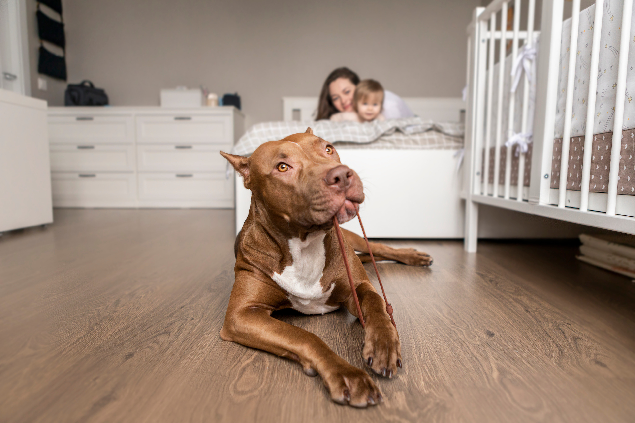 Трисс, Настя и Анюта. Фотограф — Анималист | Санкт-Петербург