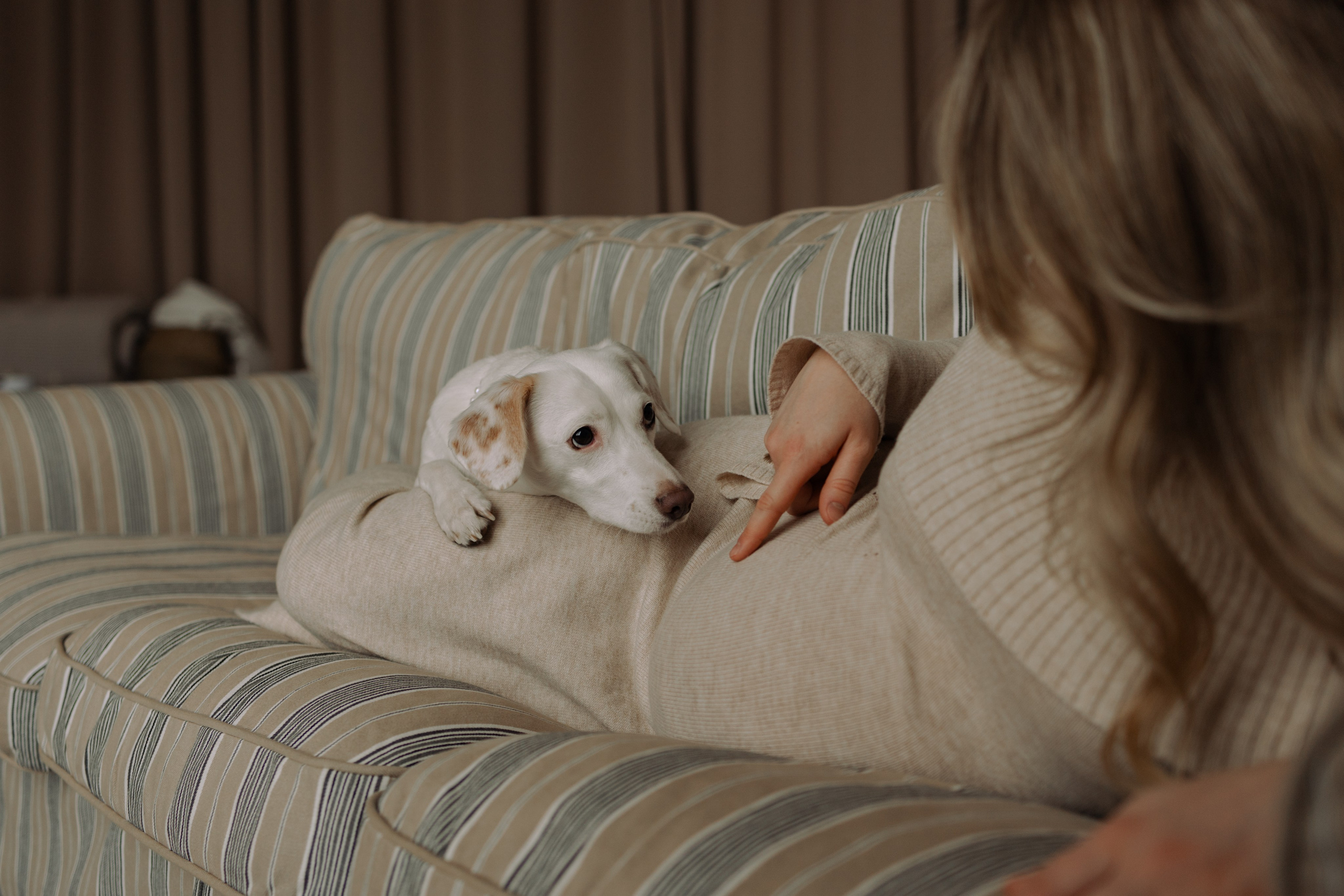 Луна и ее семья. Фотограф — Анималист | Санкт-Петербург