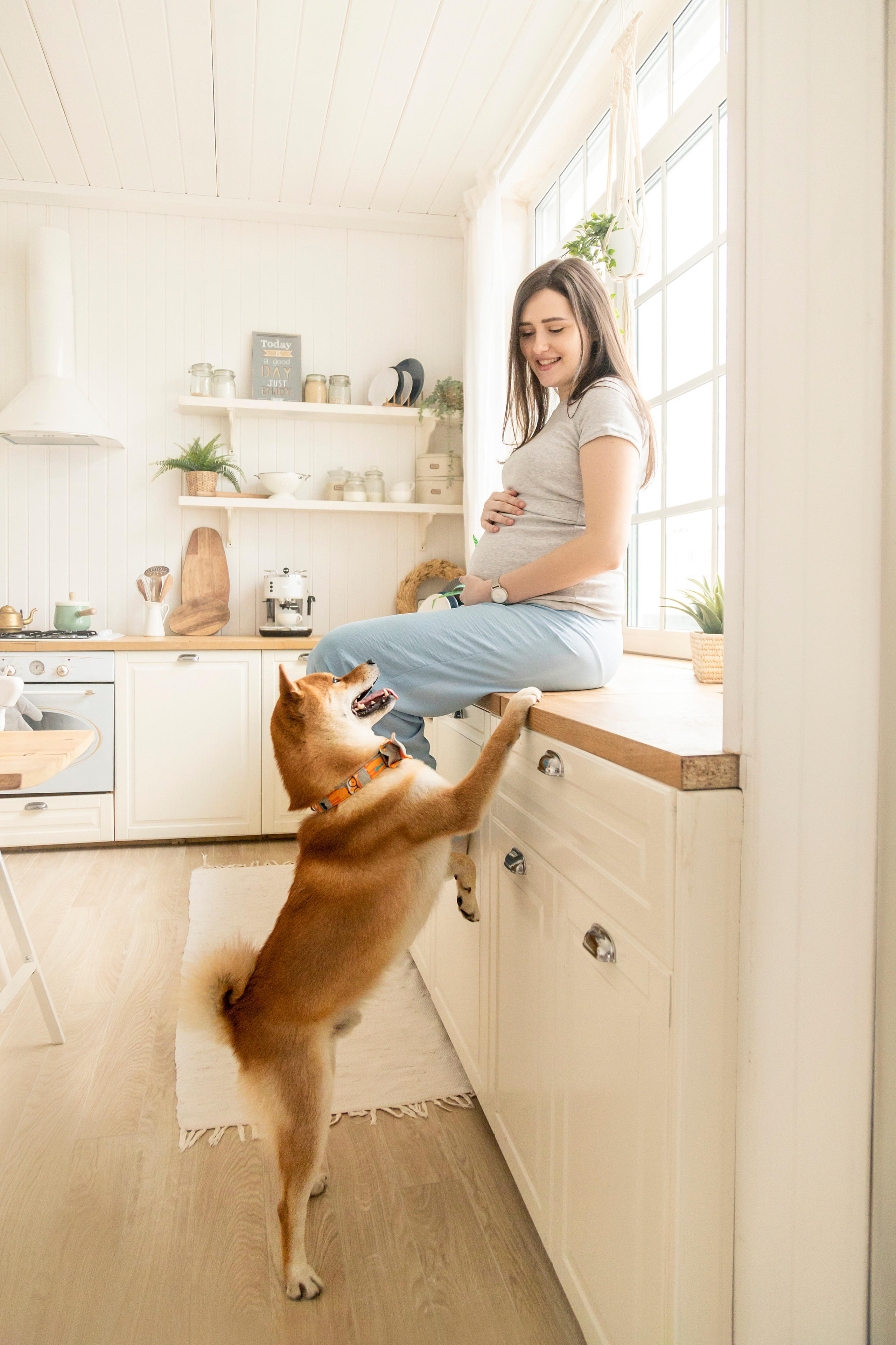 Валентина и Арчи. Фотограф — Анималист | Санкт-Петербург