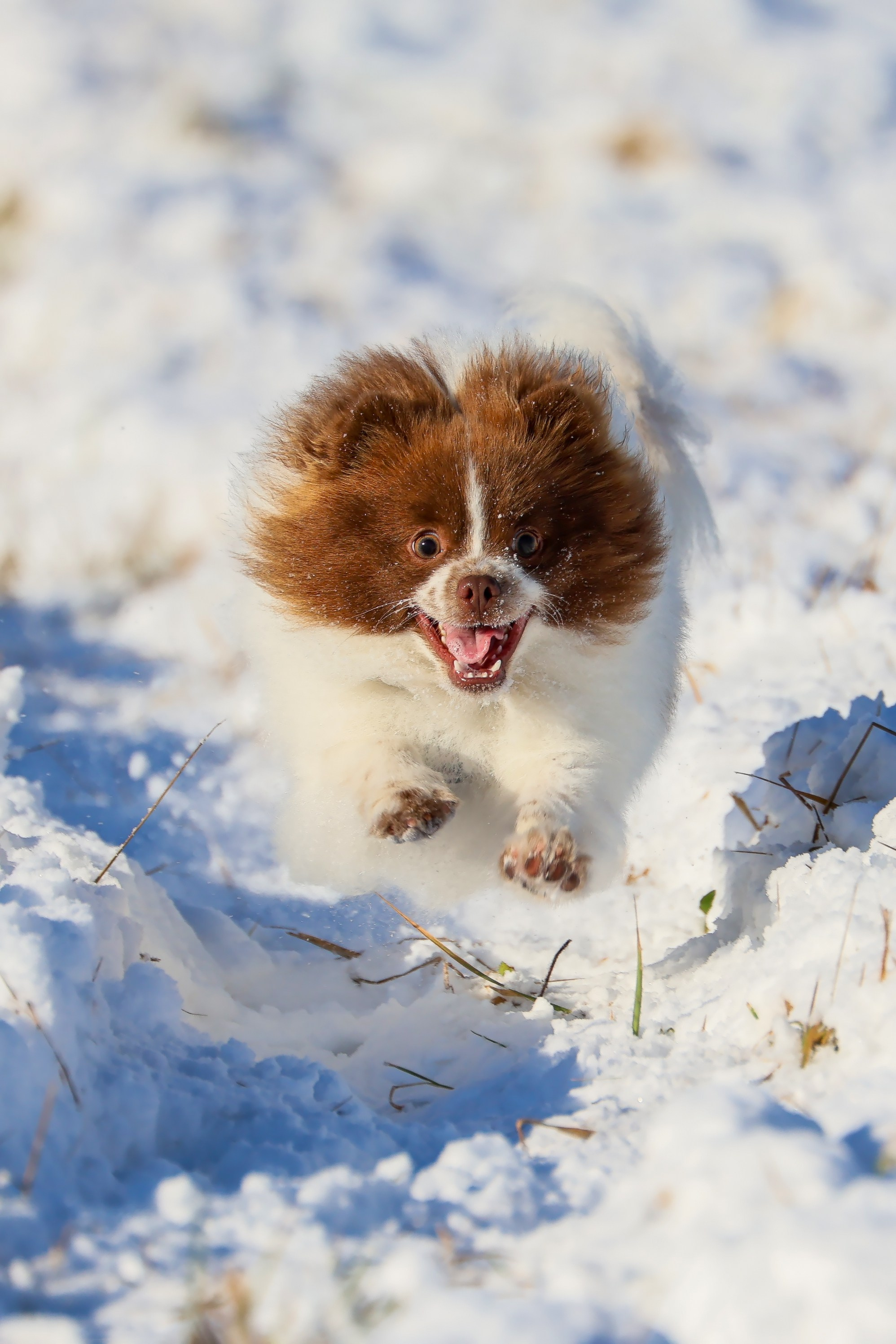 Lure Club 2025. Irenephoto.ru