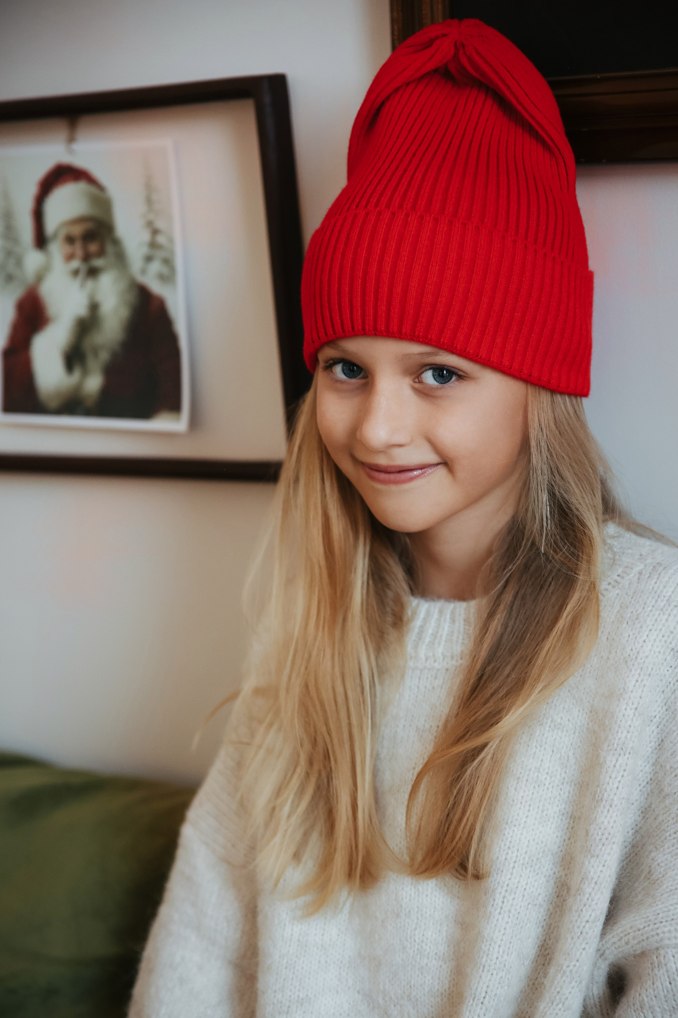 Новогодняя фотосессия во Владимире съемка на новый год фотосессия в студии фотограф во Владимире фотограф в Москве корги. Фотограф Владимир Москва