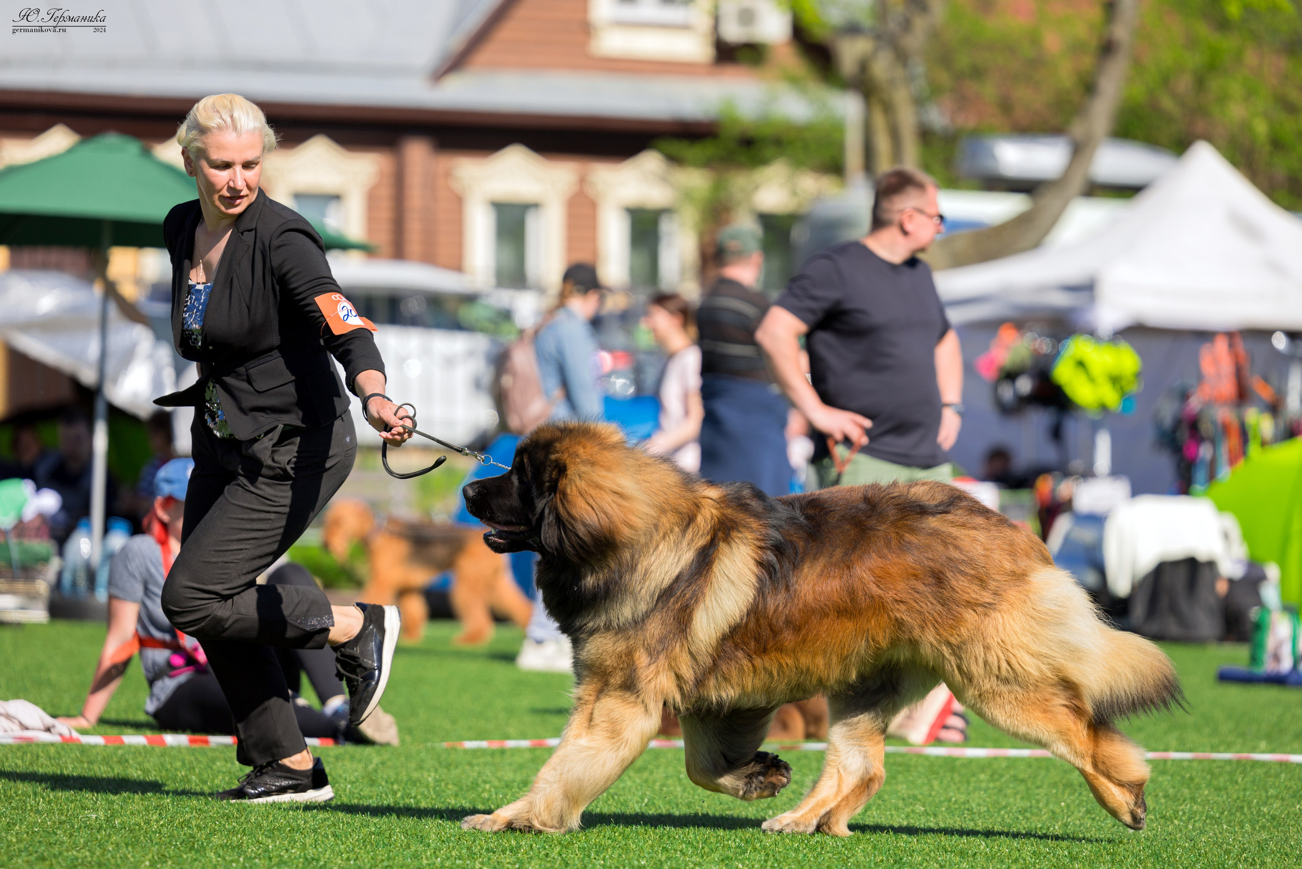 Суздаль 18-19.05.2024. Фотограф-анималист Юлия Германика