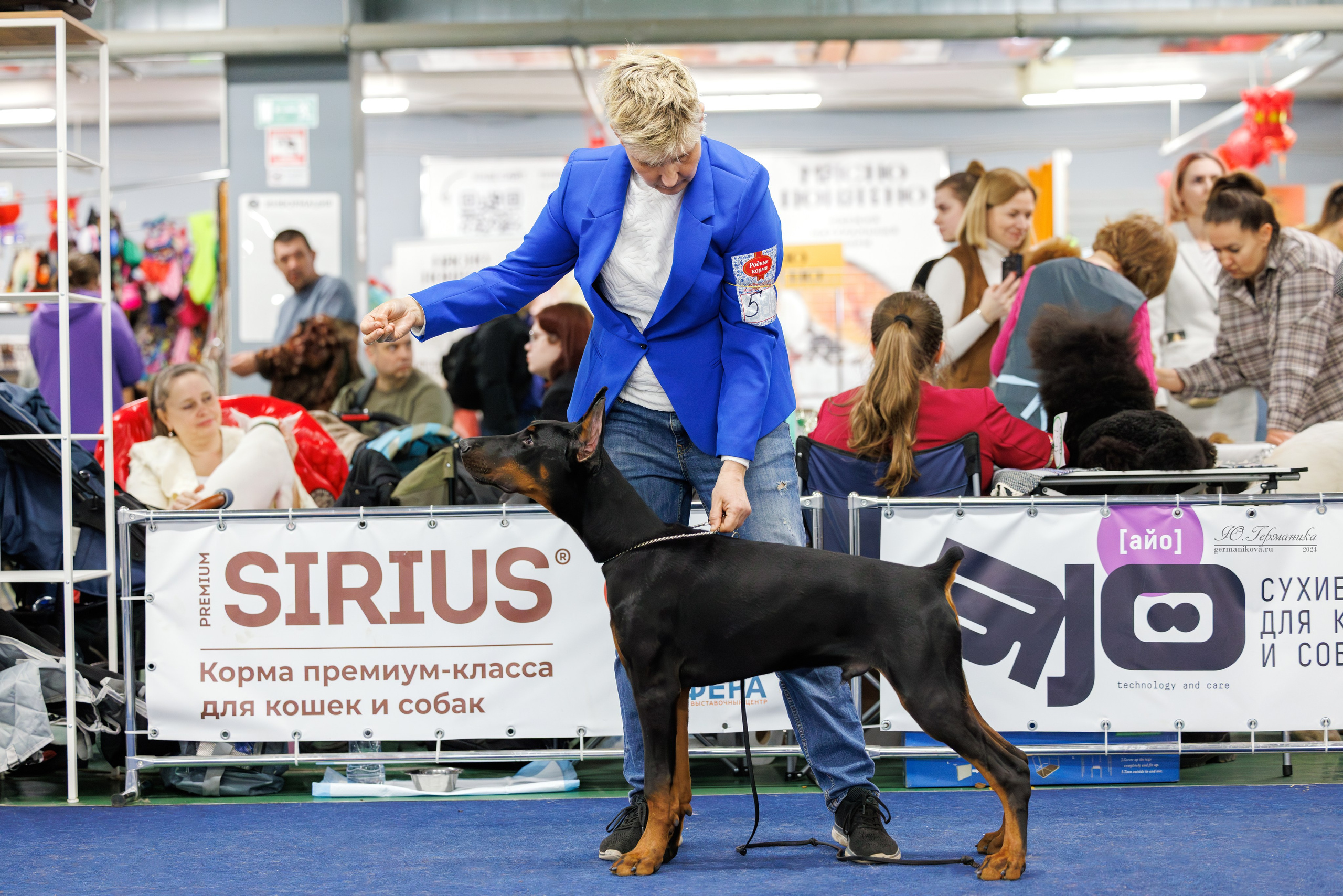 Сфера и Крокус 8,9,16 и 30.03.2025. Фотограф-анималист Юлия Германика