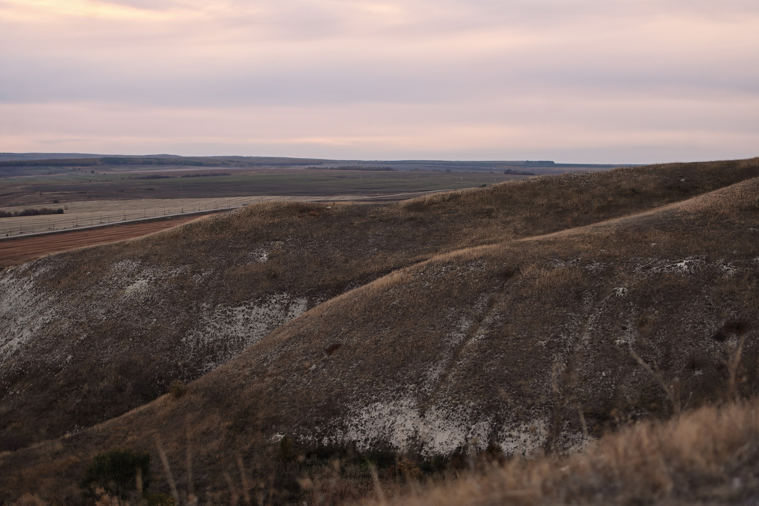 Любовь и Дмитрий. Свадебный и семейный фотограф в Самаре Головань Наталья