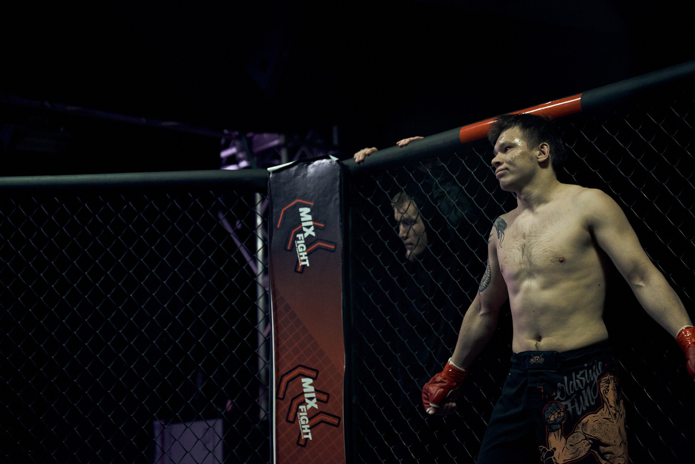 Бои. Маляревич Дмитрий свадебный фотограф