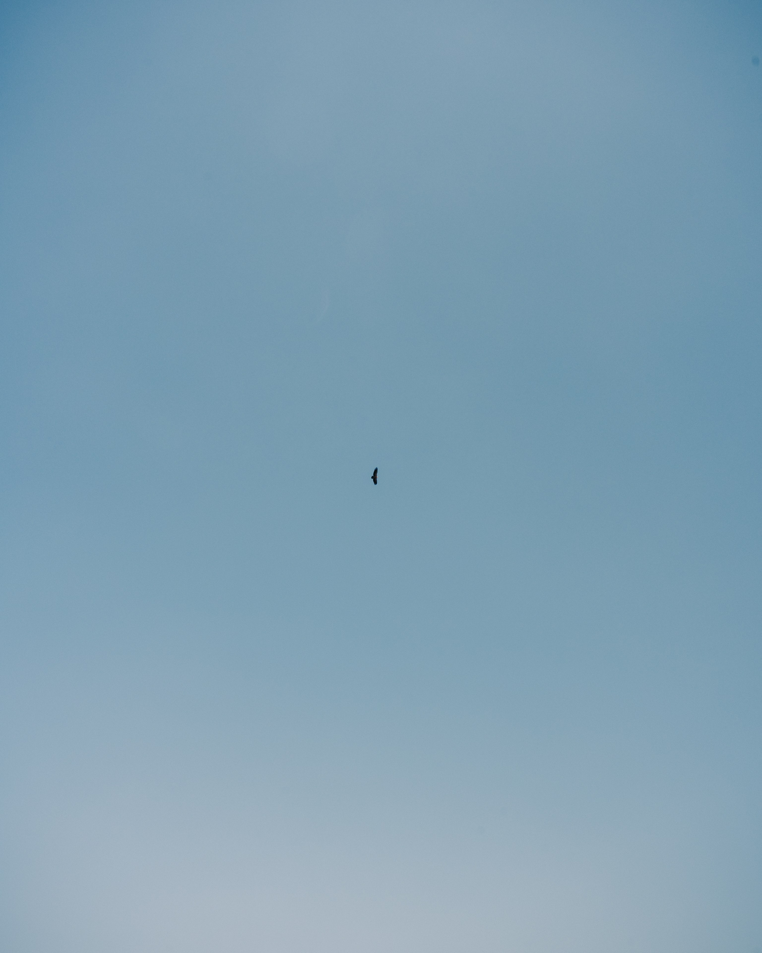 Dagestan / Yandex 360 x КУДА ГЛАЗА ГЛЯДЯТ