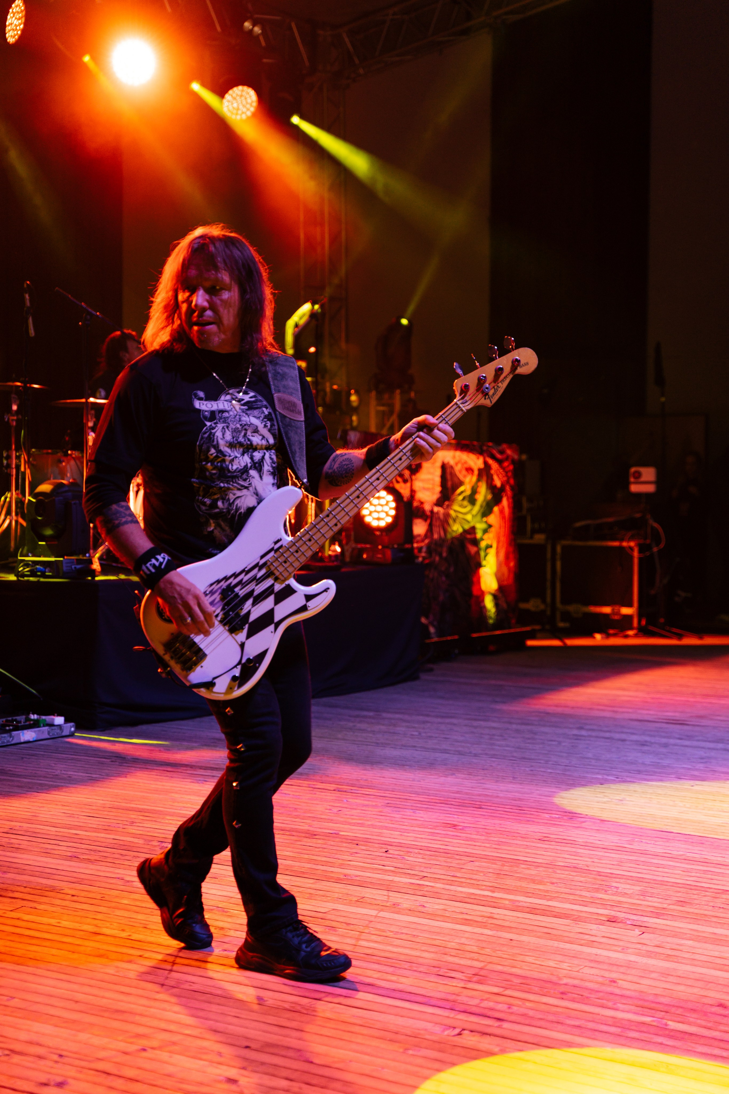 Группа «Ария» в ЦПКиО. Фотограф Надежда Погребняк | Рязань | Москва