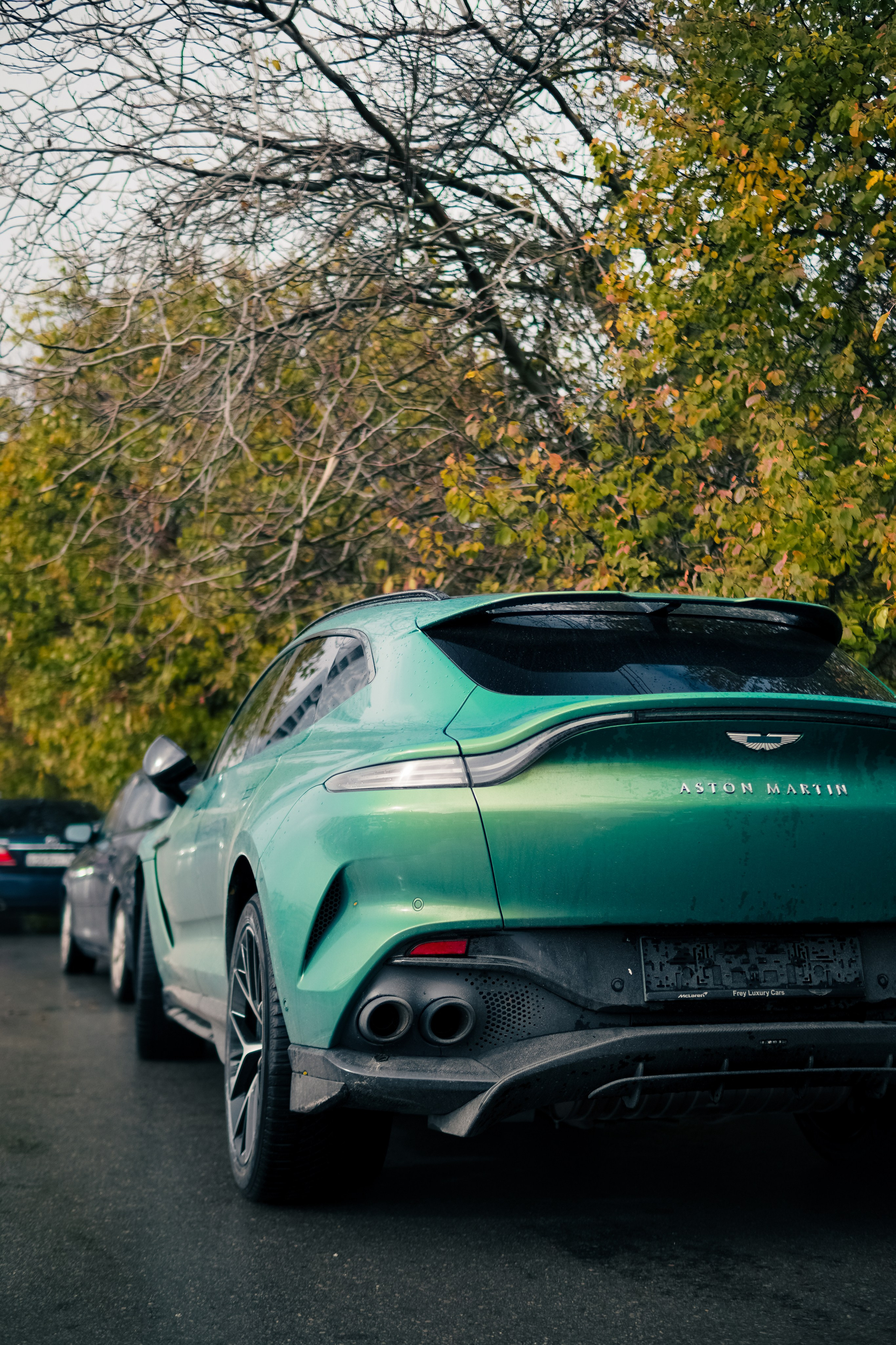 Aston Martin DBX 707. AutoAlexArt