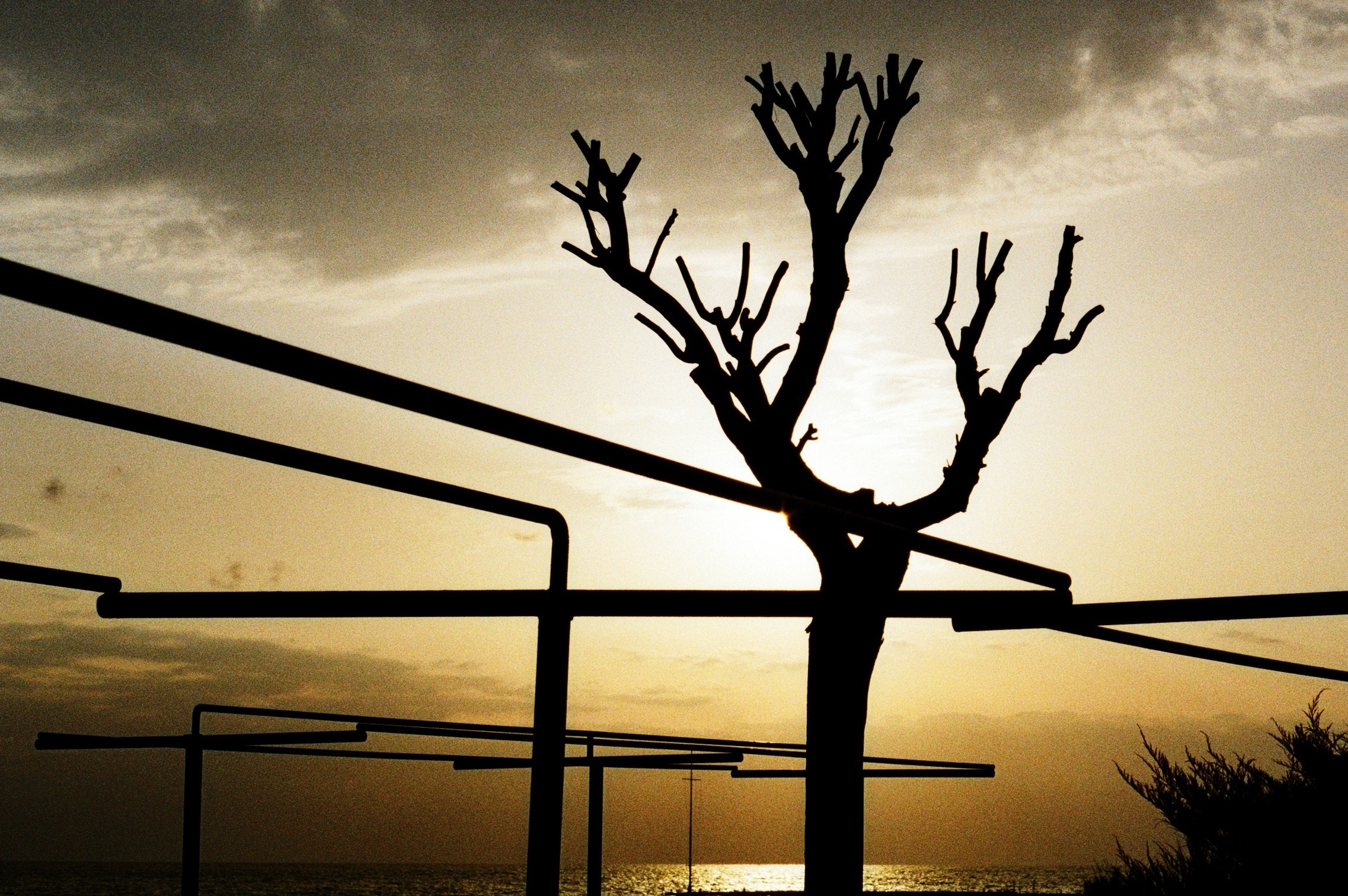 Fine Art Photography. Margarita Rodionova — a contemporary lens-based artist currently working in Cancun, Mexico