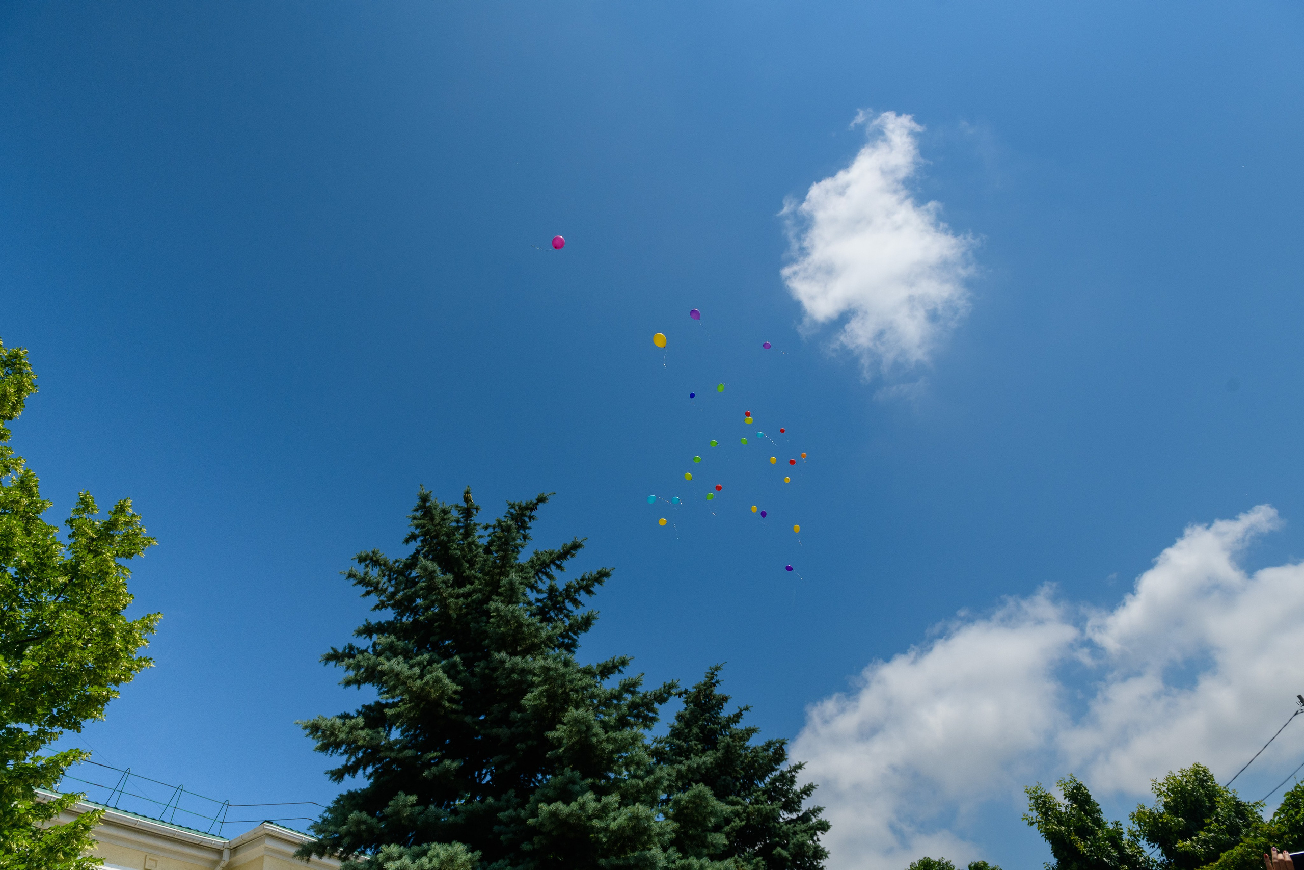 Выпускной утренник. Фотограф в Ростове-на-Дону Маркер Елена