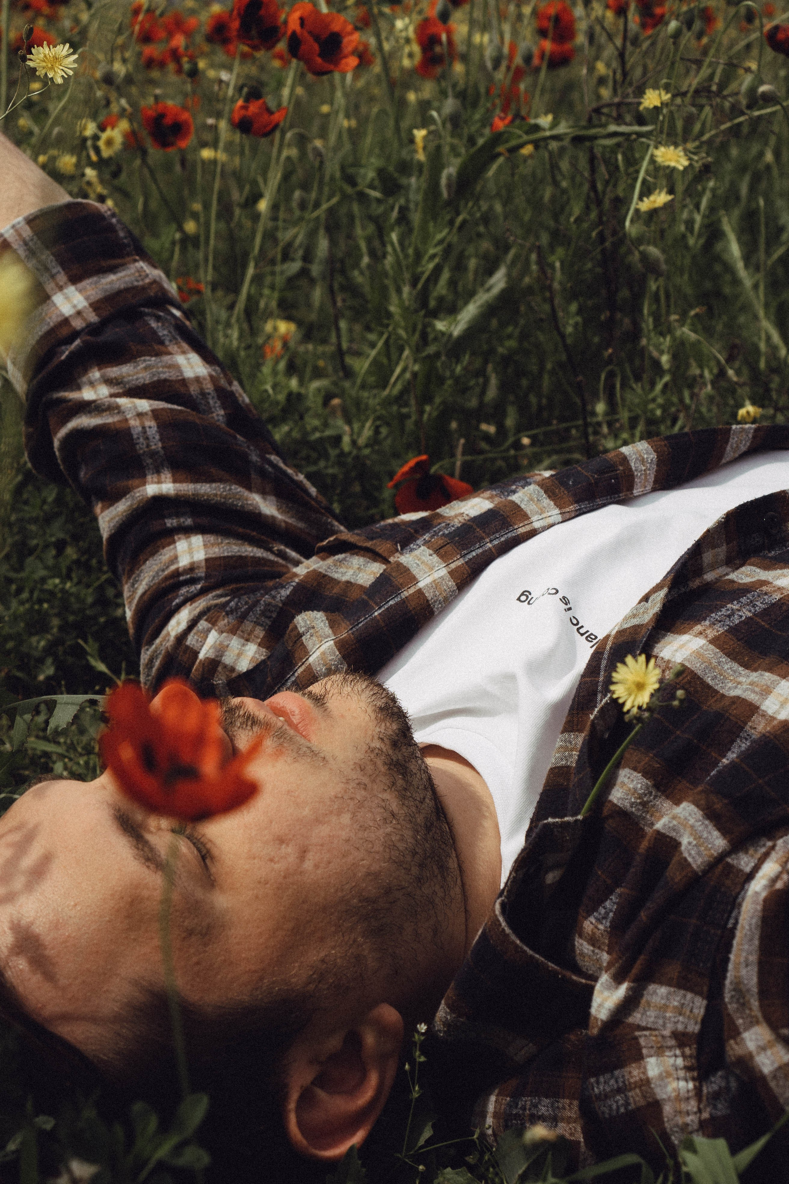 Маки. Профессиональный фотограф, Санкт-Петербург — Виктория Богомолова