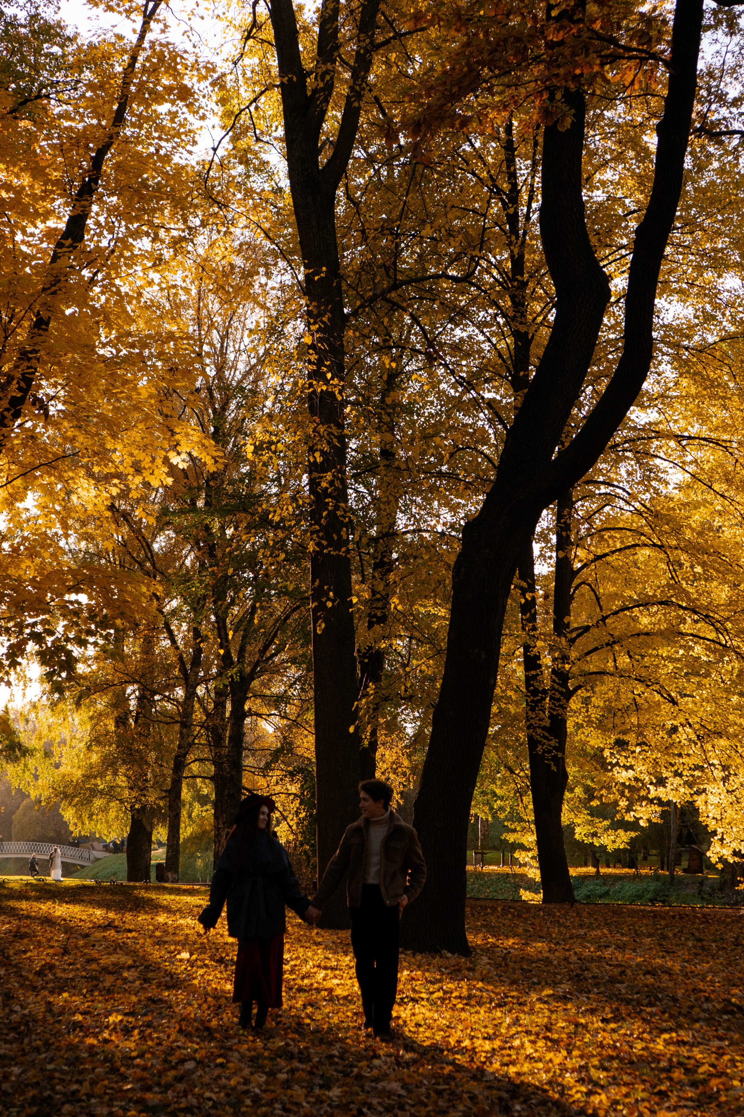 ОСЕННЯЯ ПРОГУЛКА. Профессиональный фотограф, Санкт-Петербург — Виктория Богомолова
