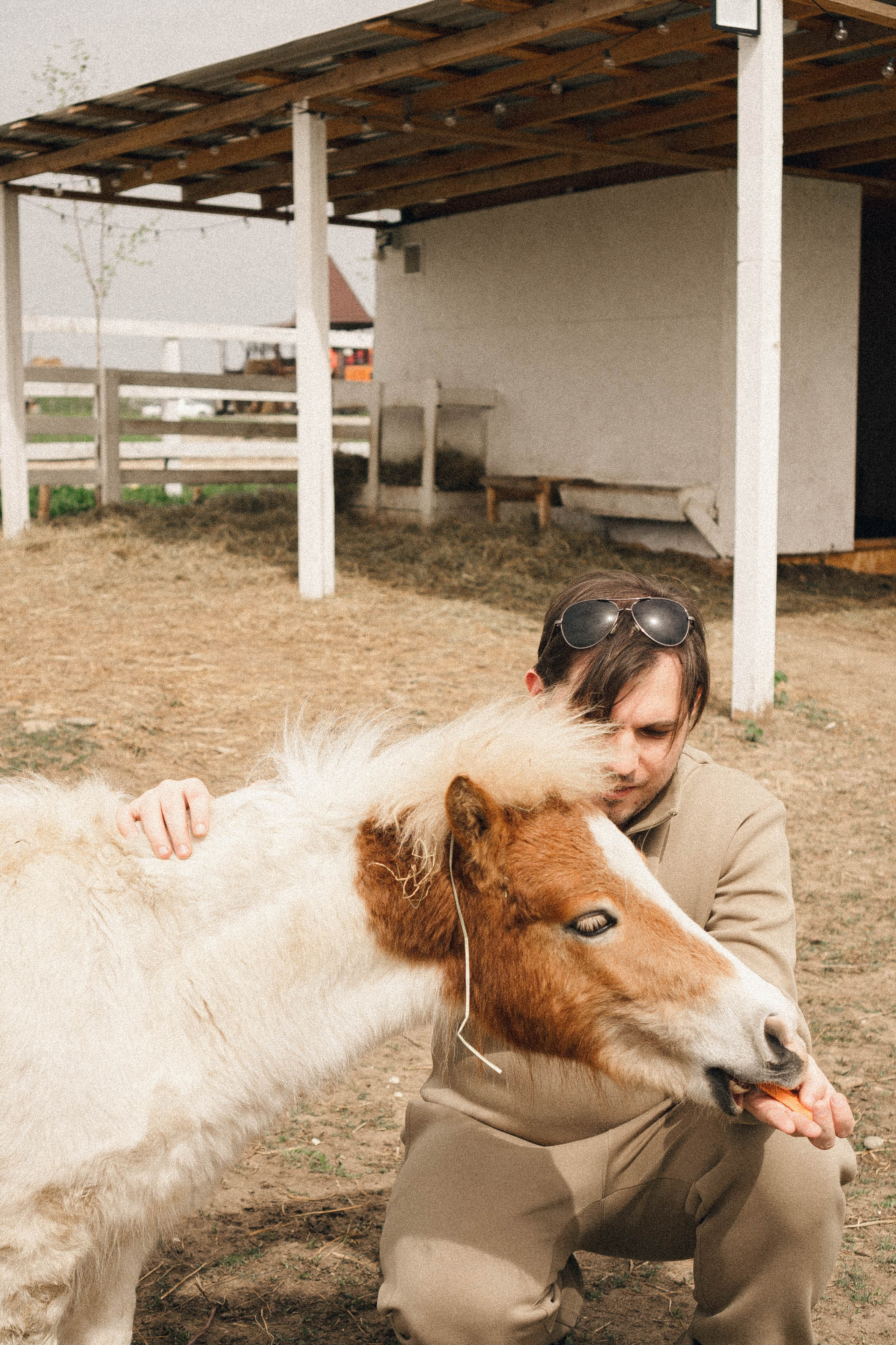 Ферма Альпак. Профессиональный фотограф, Санкт-Петербург — Виктория Богомолова