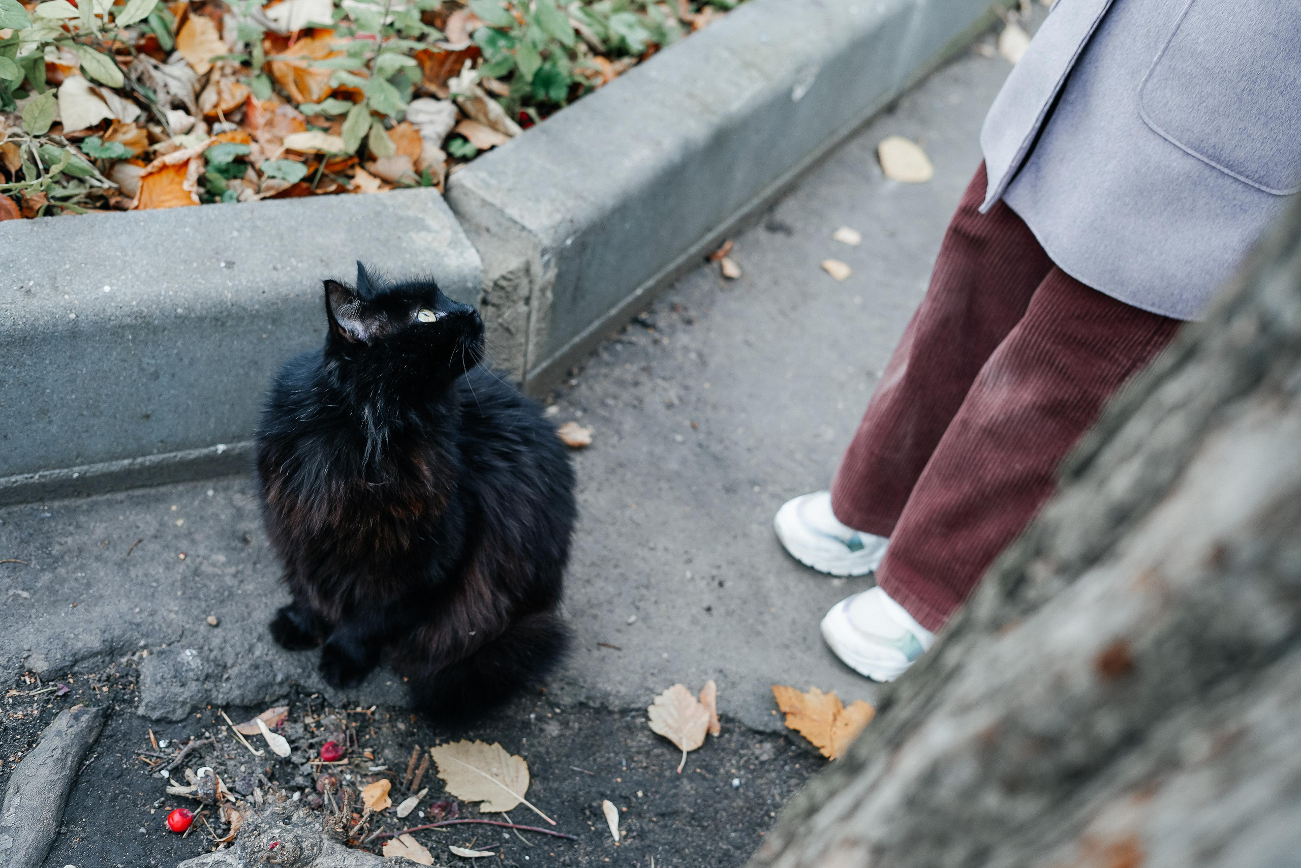 Криминальная Москва, экскурсия по Китай-городу. ФотоЭкскурсии в Москве|Экскурсии в Москве с фотографом