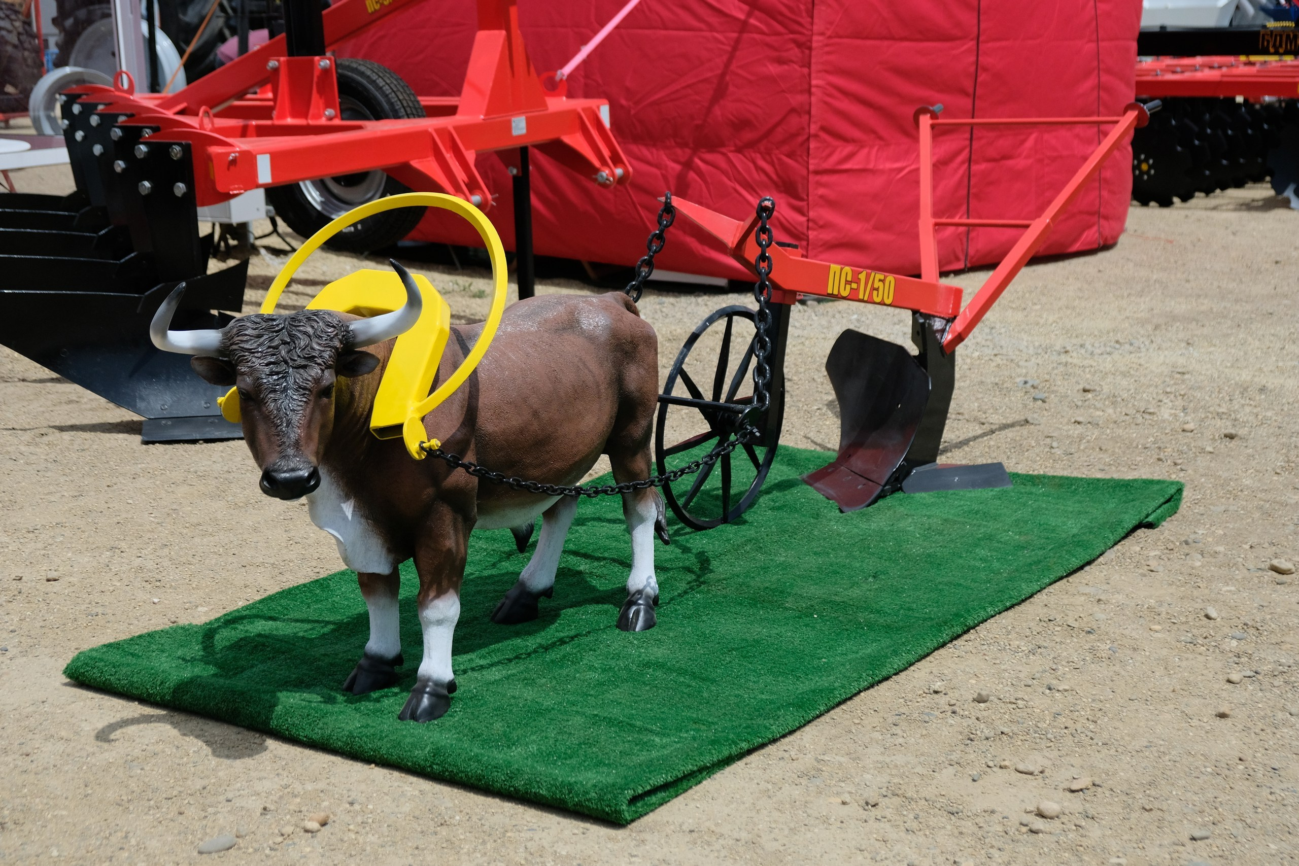 Золотая нива 2024. Предметный фотограф в Краснодаре