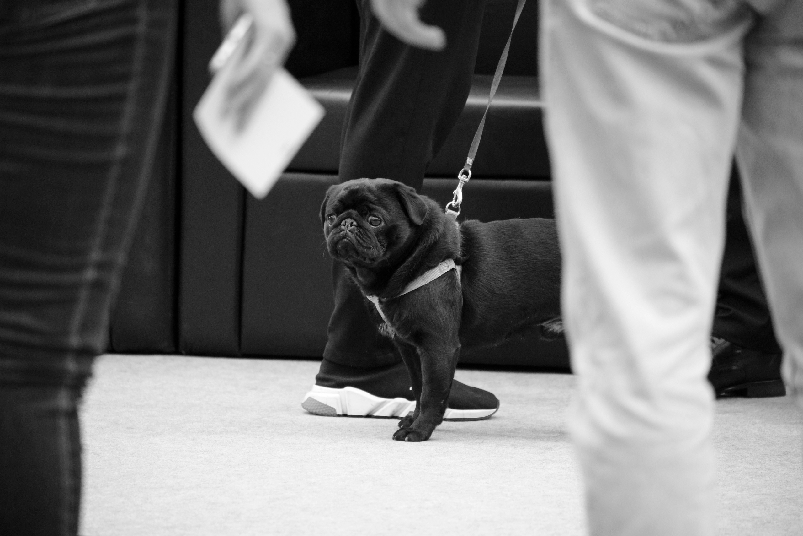 ArtRussiaFair 2020. Moscow street photography workshops and photo tourism