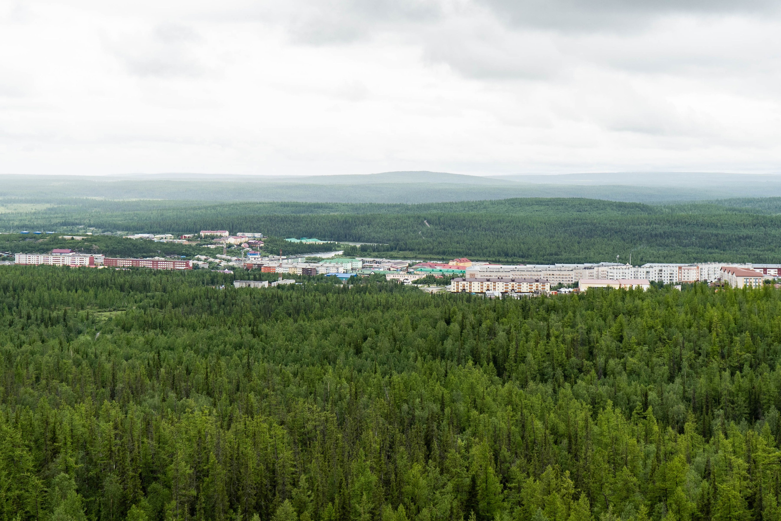 Лето в тундре. Фотограф Екатерина Зорина