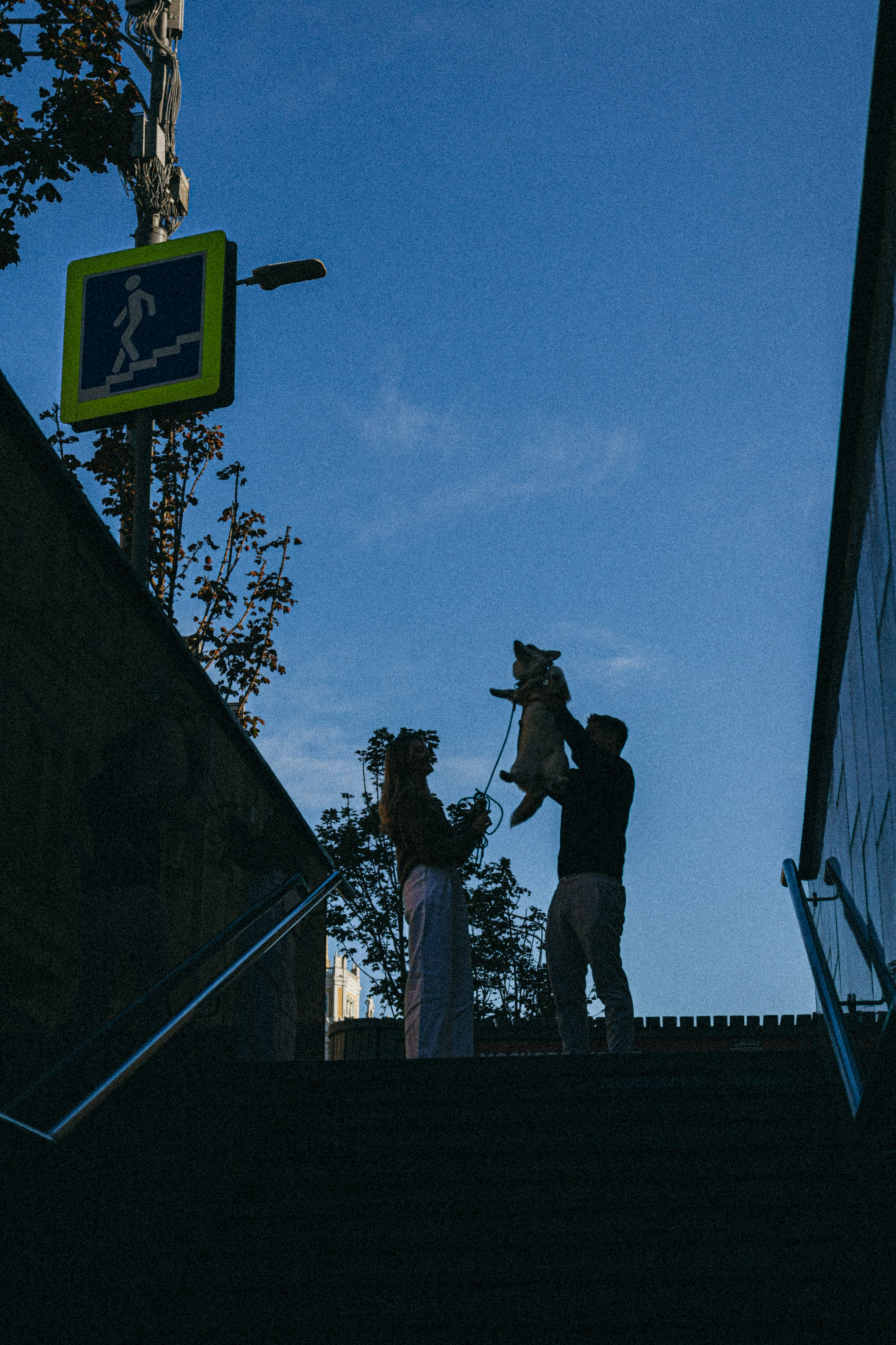 Даша, Рома и Лесли. Фотораф — анималист Мария Шистка