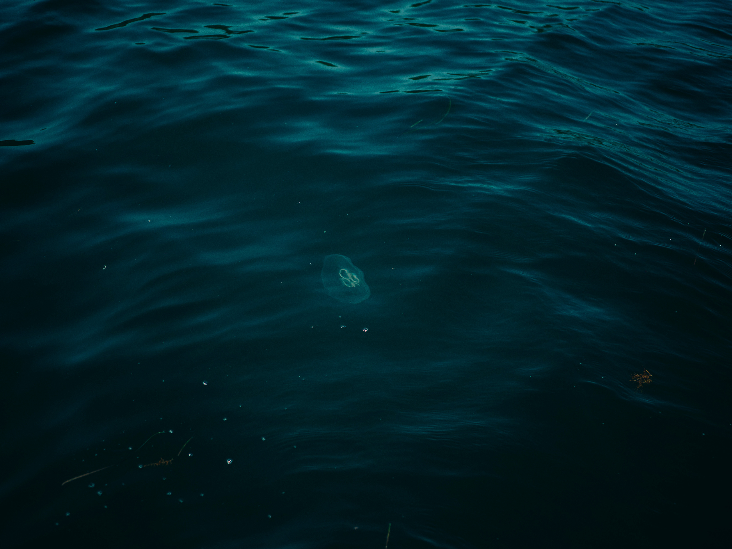 Комсомольская правда. Фотограф и видеограф в Благовещенске и Санкт-Петербурге Мурыгина Мария