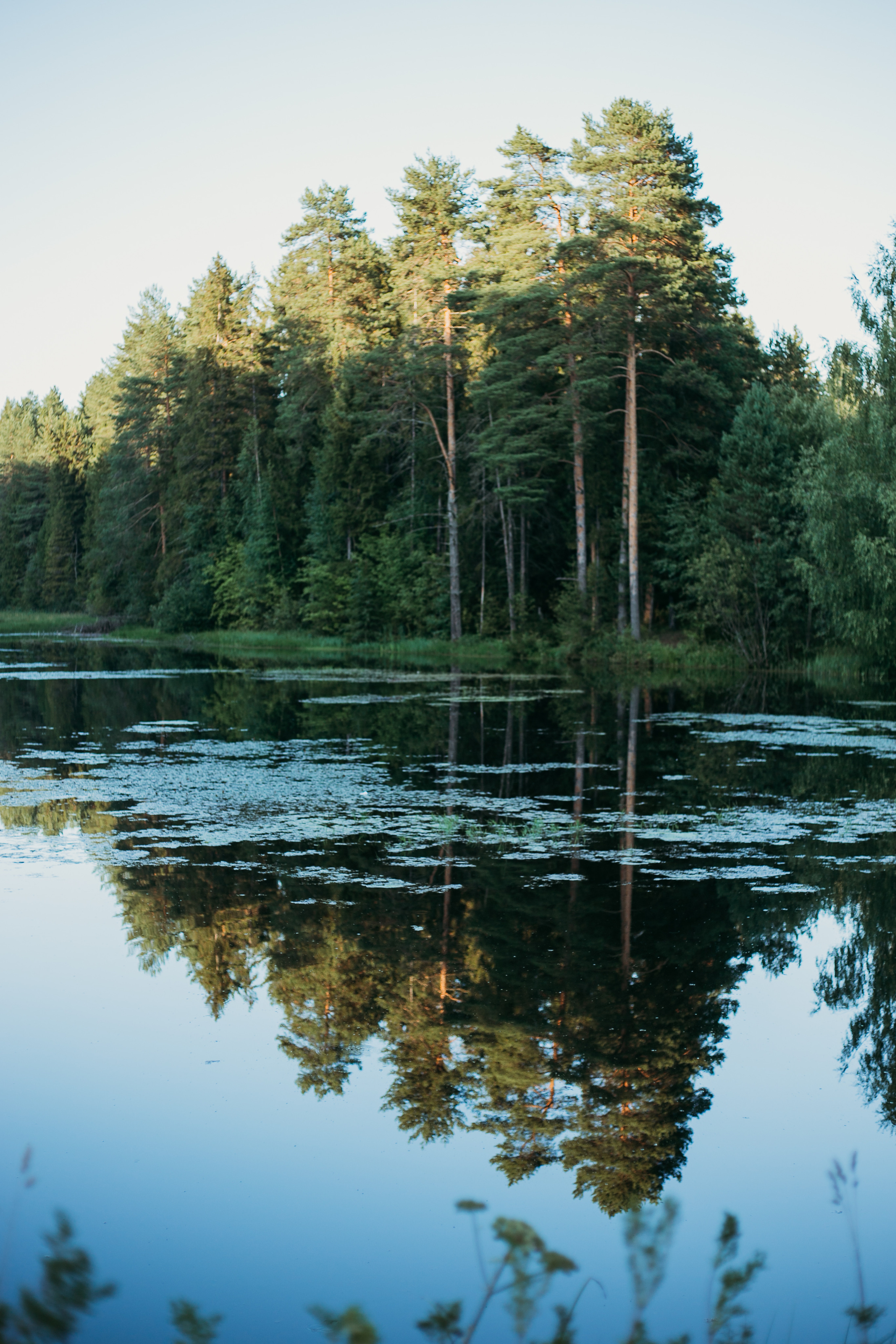 Отзывы. Семейный фотограф в г. Киров Светлана Кузнецова