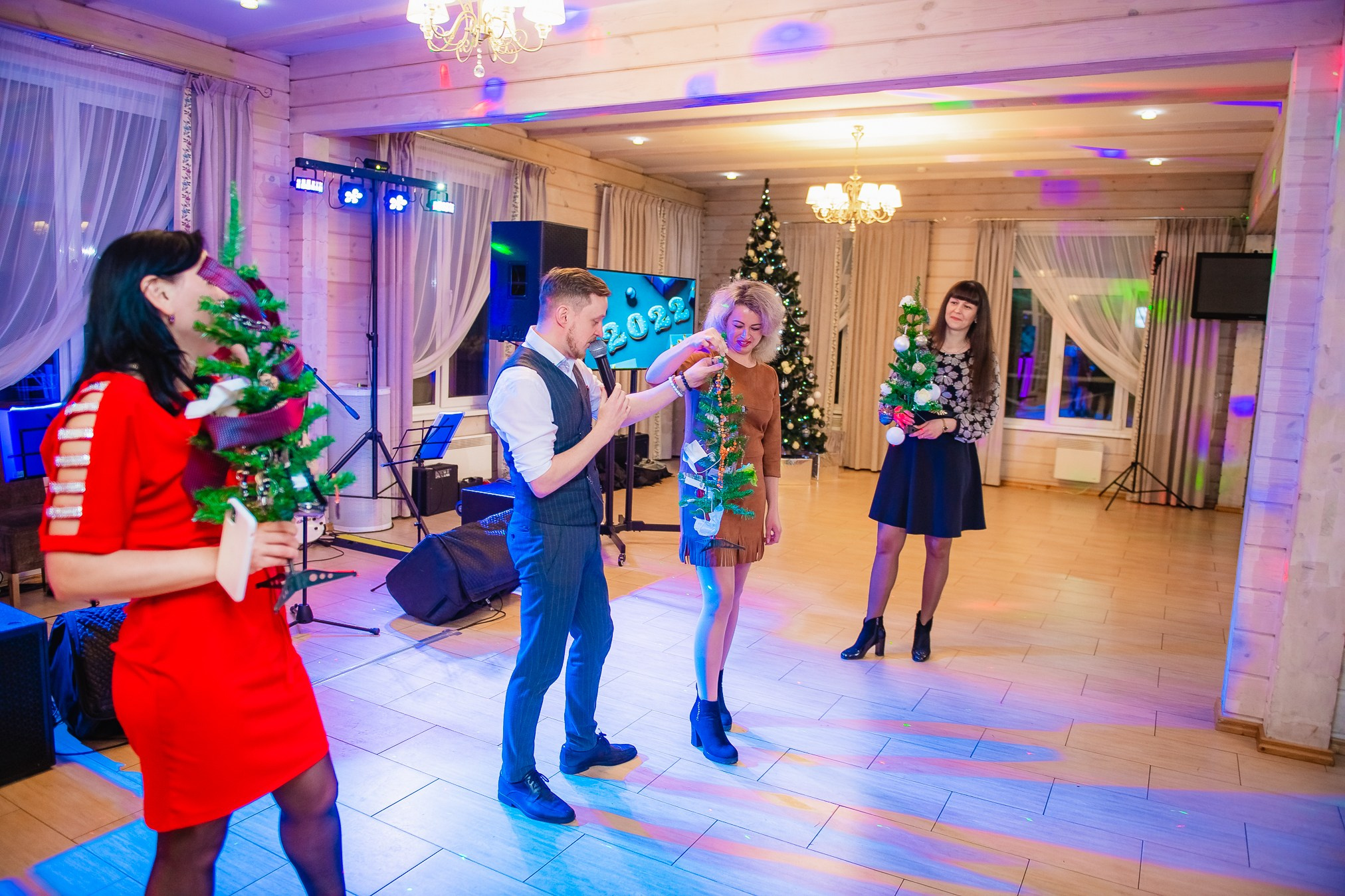 Новогодний. ProfotoNK