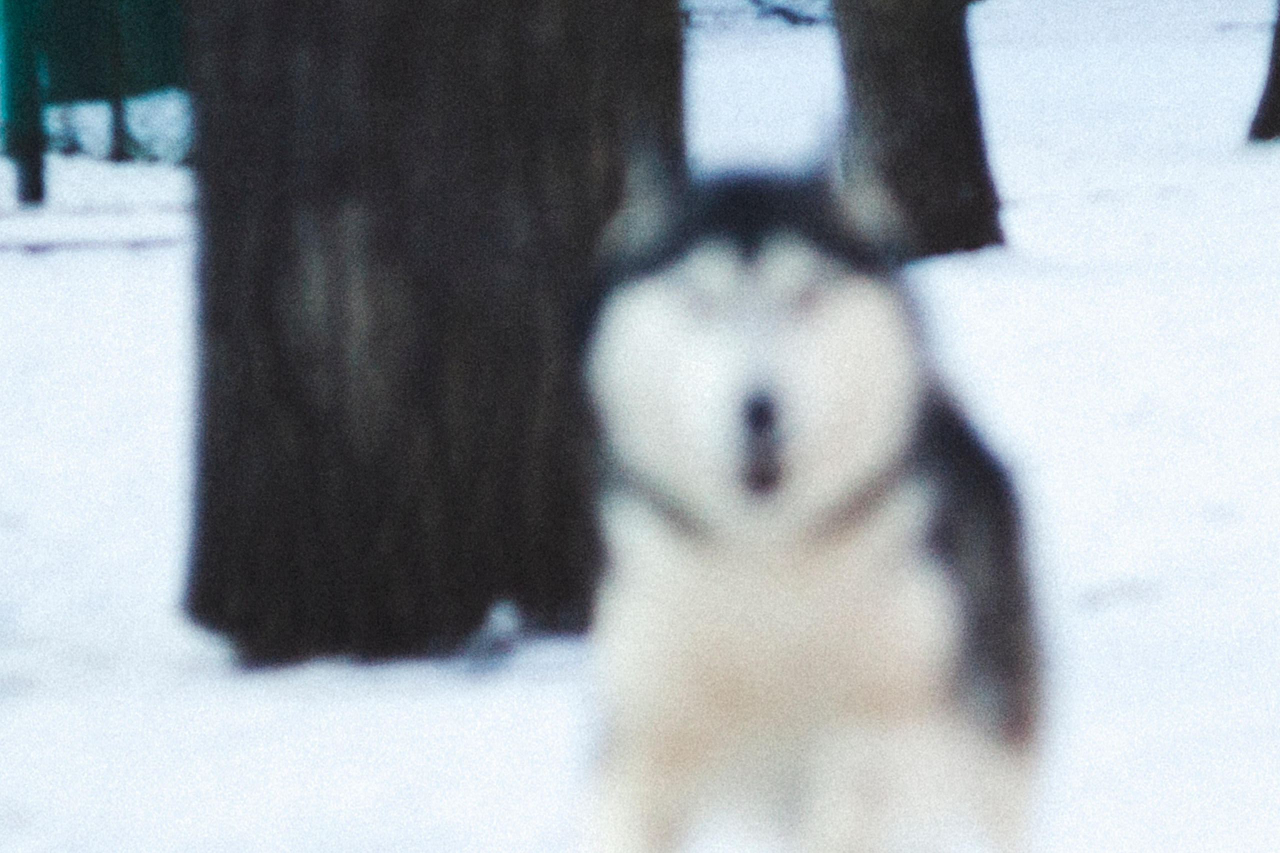 В Алексеевском саду. Фотограф Адигамова Юлия в Петербурге