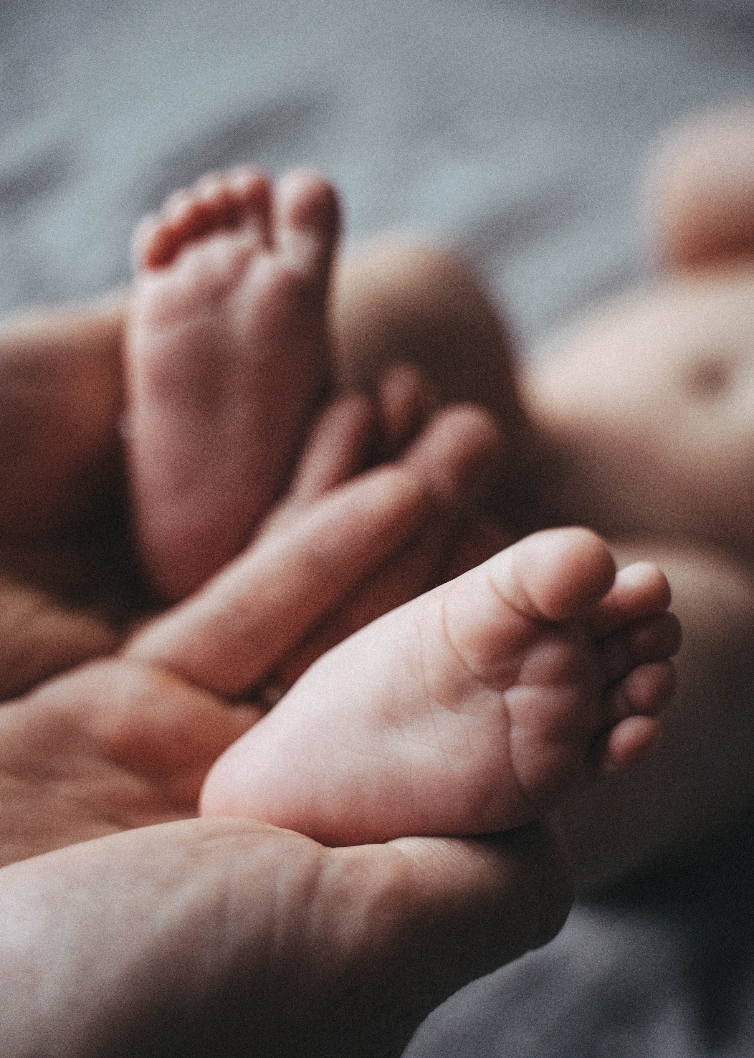 Фотосессии в студии. Семейный и детский фотограф Анастасия Сергеева, Москва