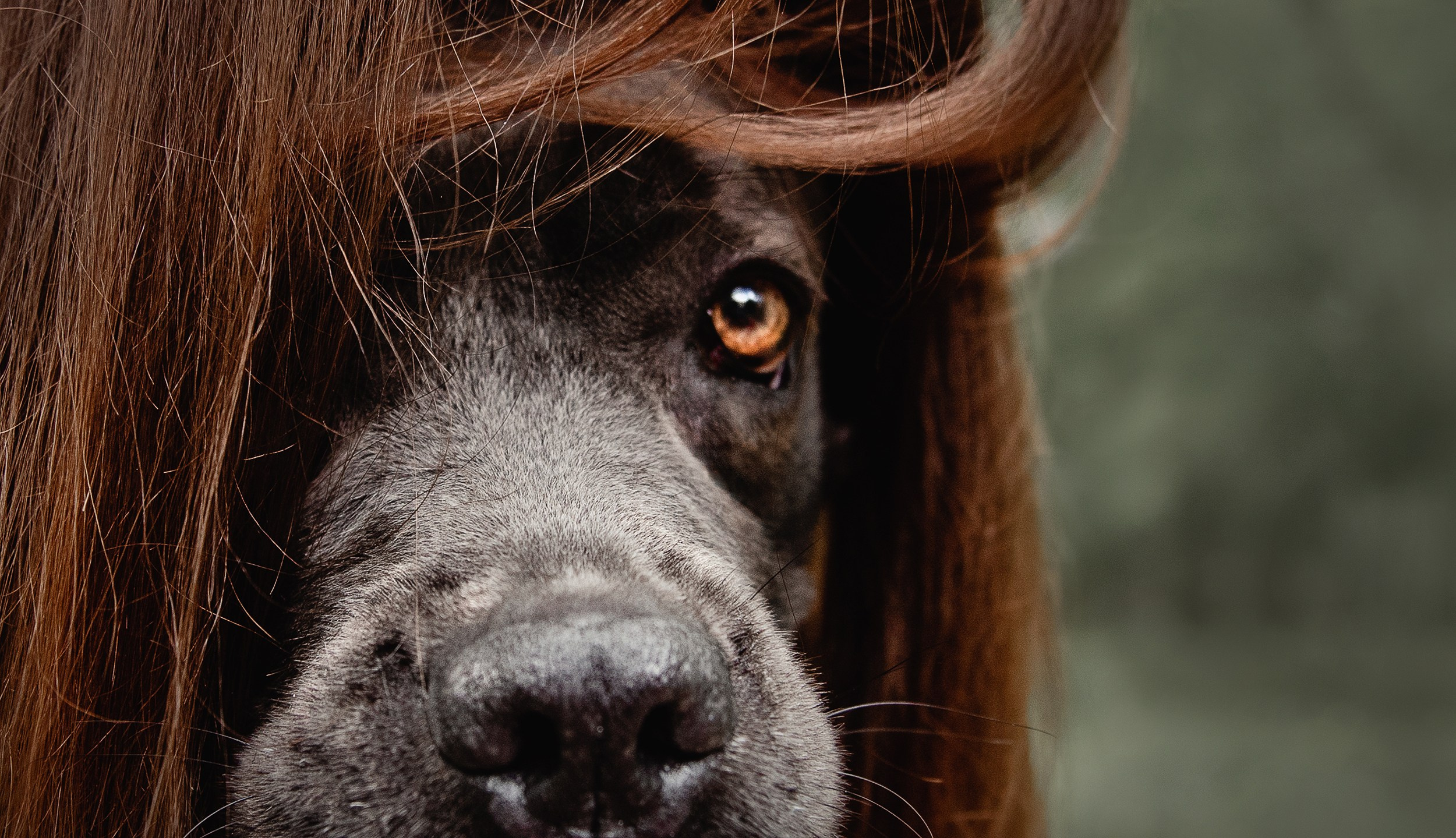 Кристина и Тея. Семейный Фотограф в Москве Ирина Хохлова