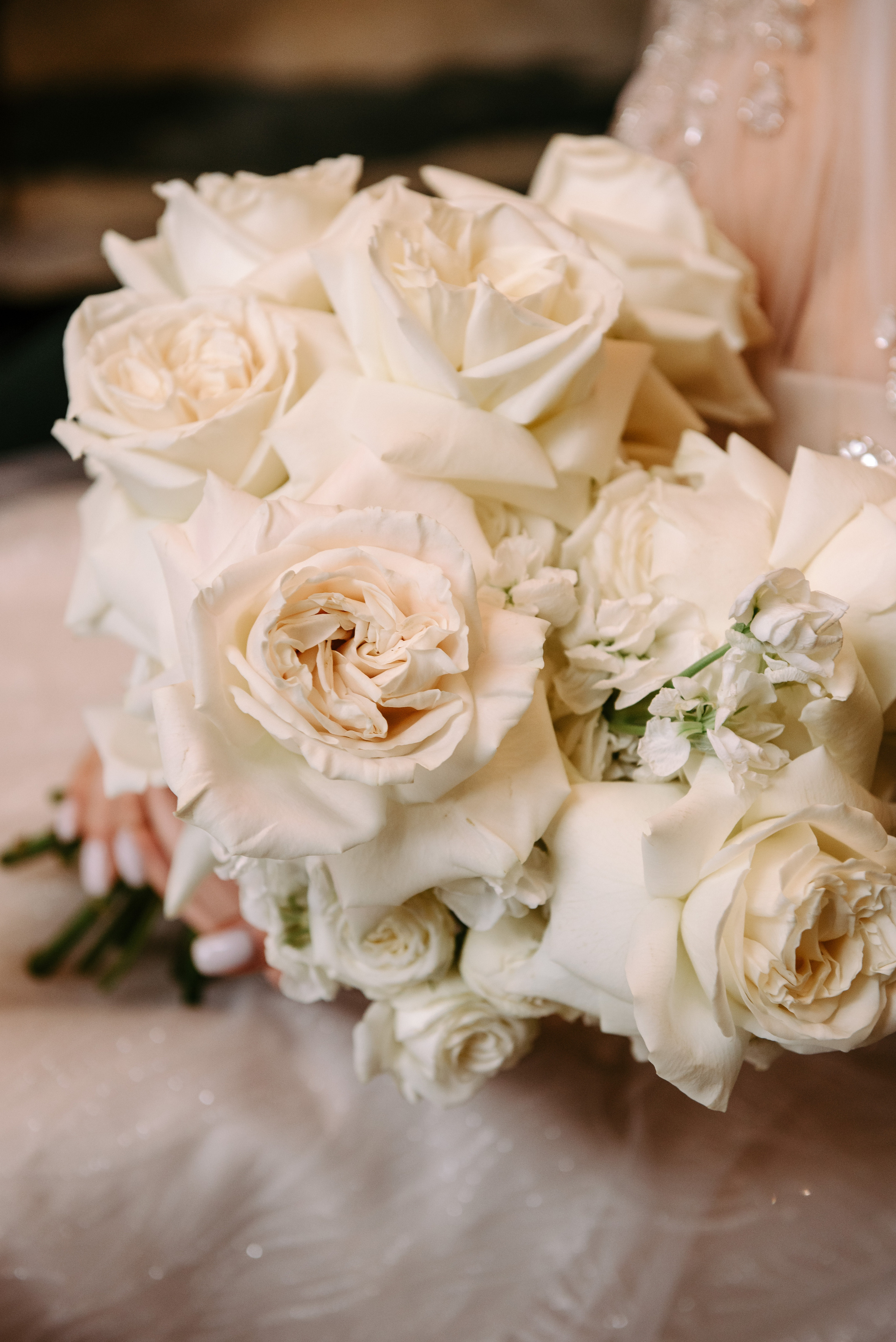 Николь и Иван. Фотограф Анастасия Вега Ростов-на-Дону