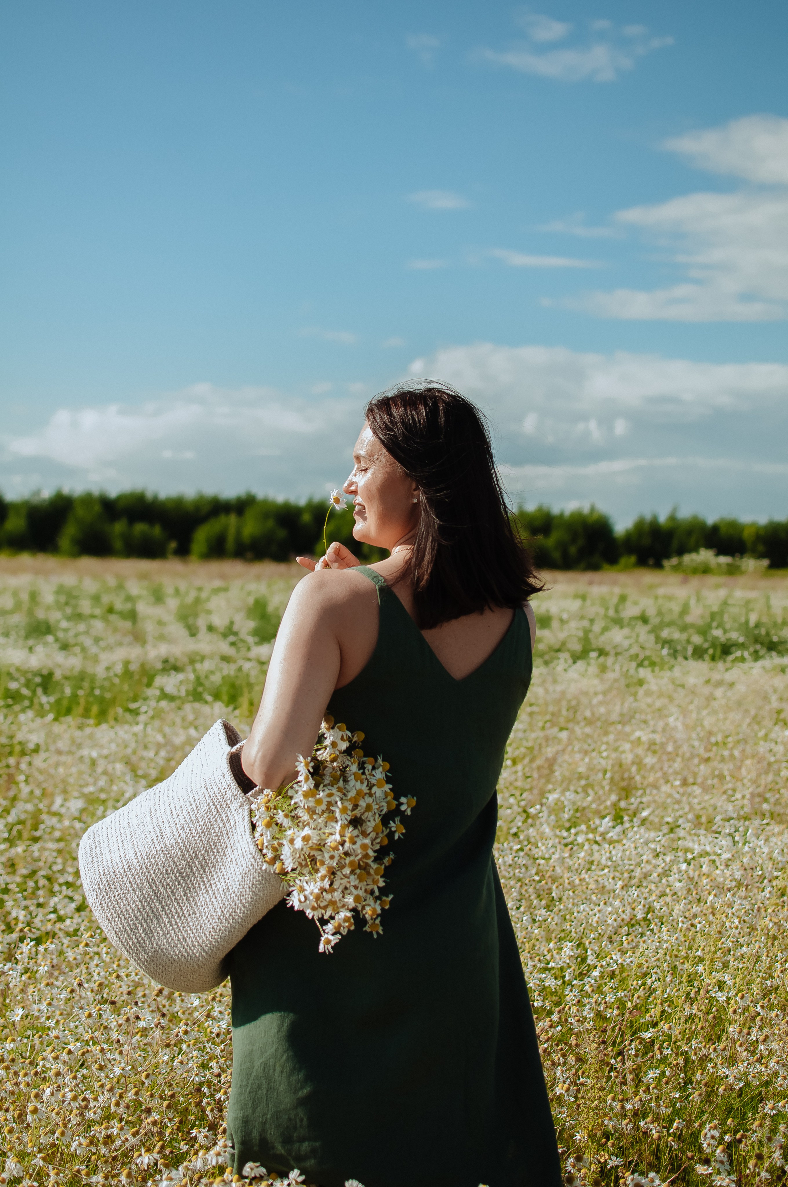 Привет ромашки