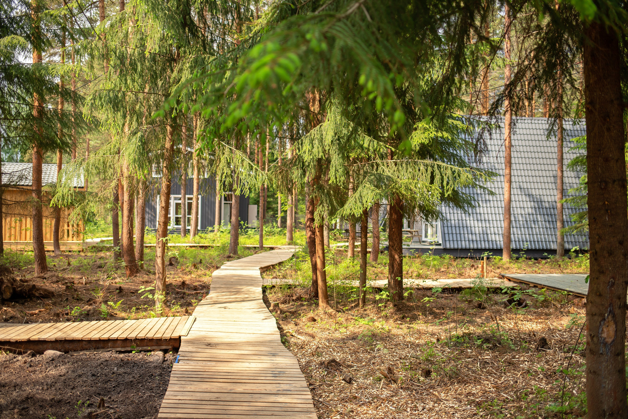 База отдыха Тосненский район ЛО. Фотограф недвижимости и контент-съемки в СПб