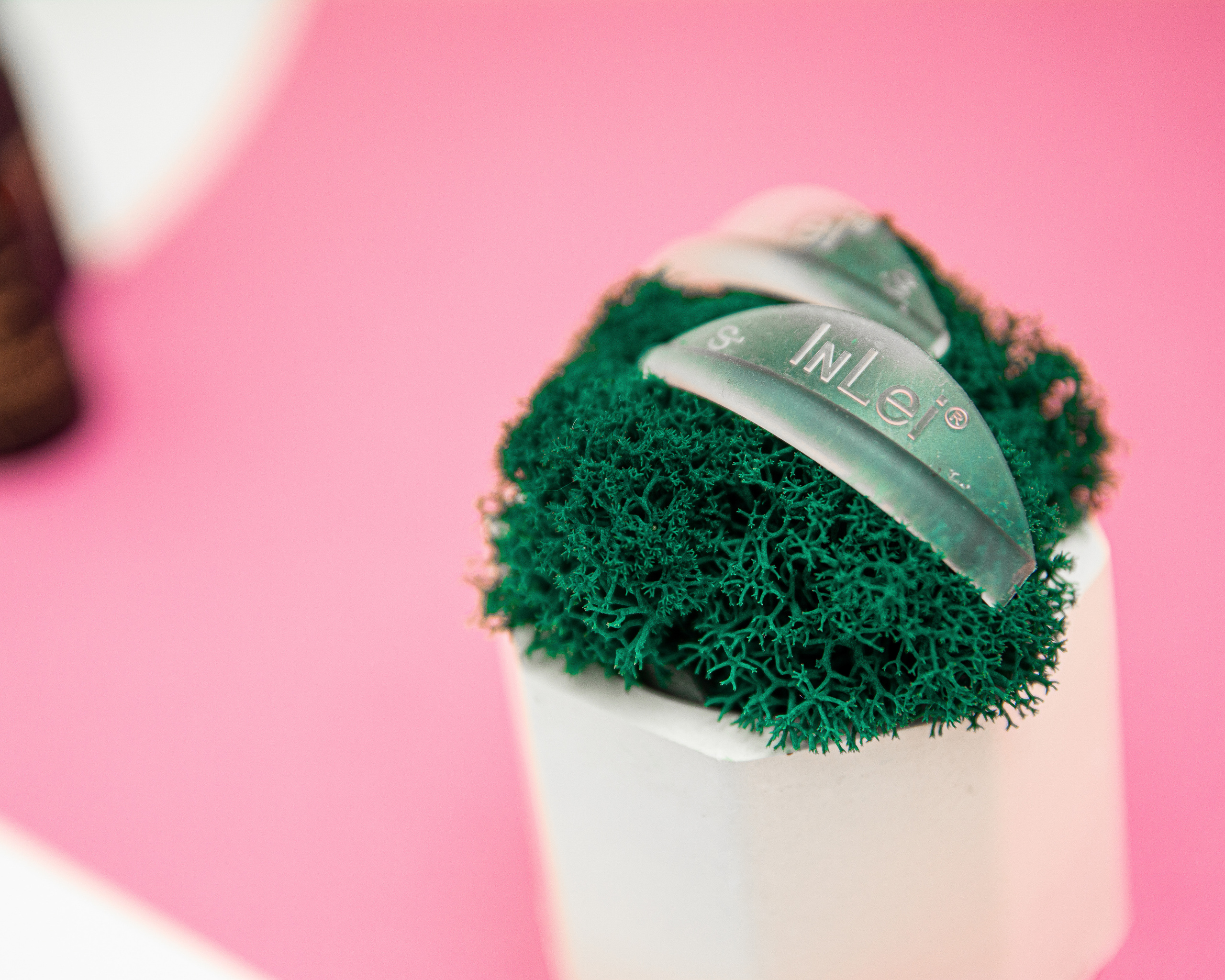 Ksenia. Фотограф и ретушер. (Армения/Россия)