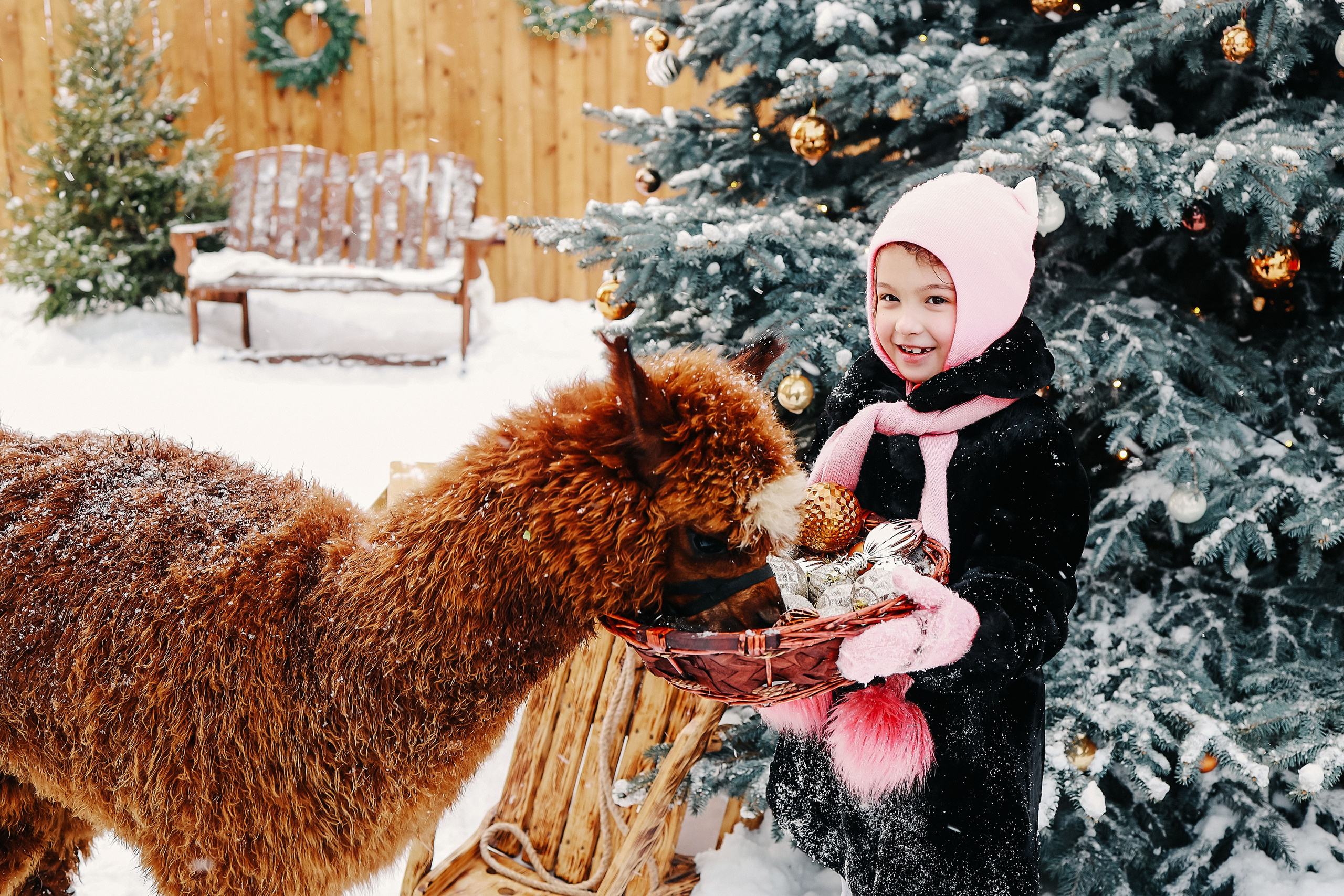 Семейная фотосессия с Альпакой. Иванова Ирина Свадебный и семейный фотограф г. Уфа